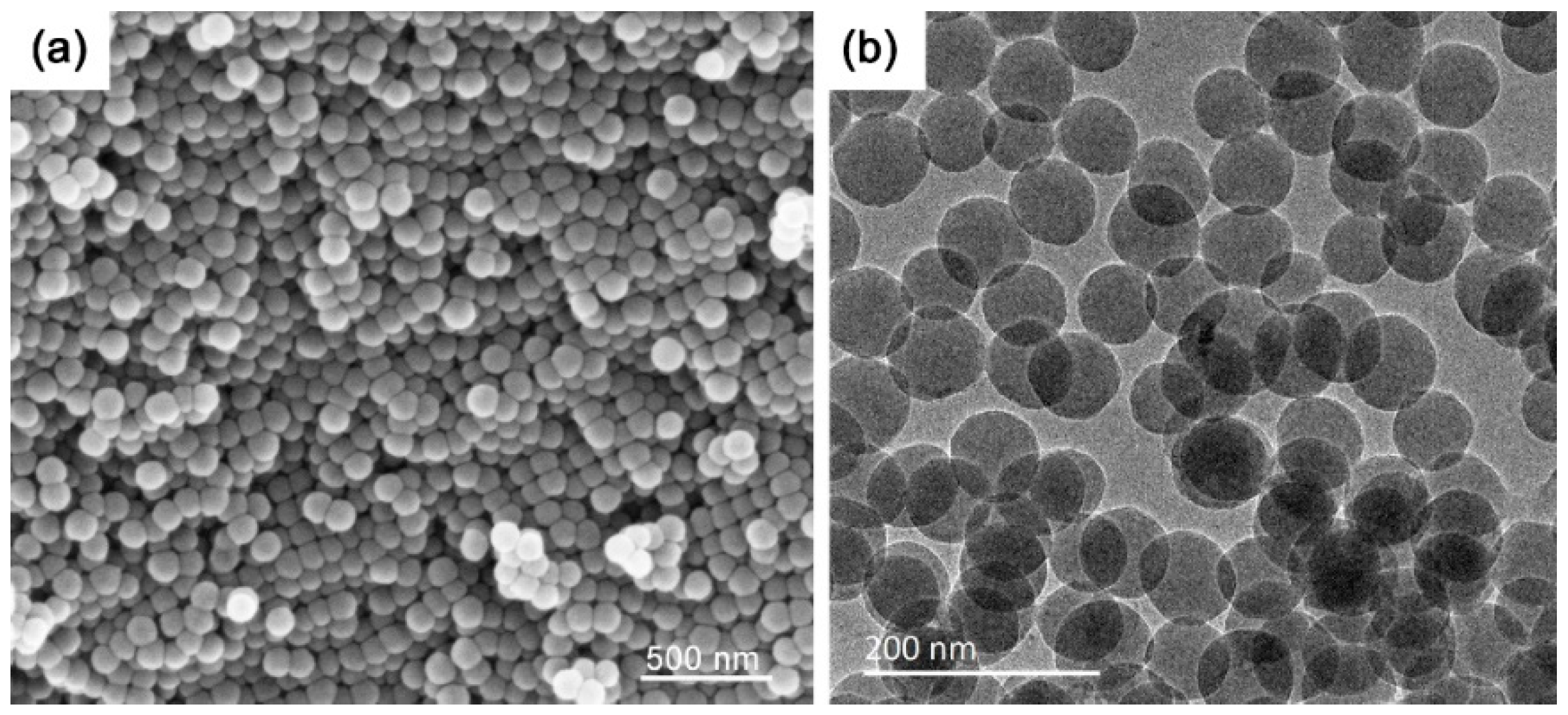 Forests 11 00726 g002