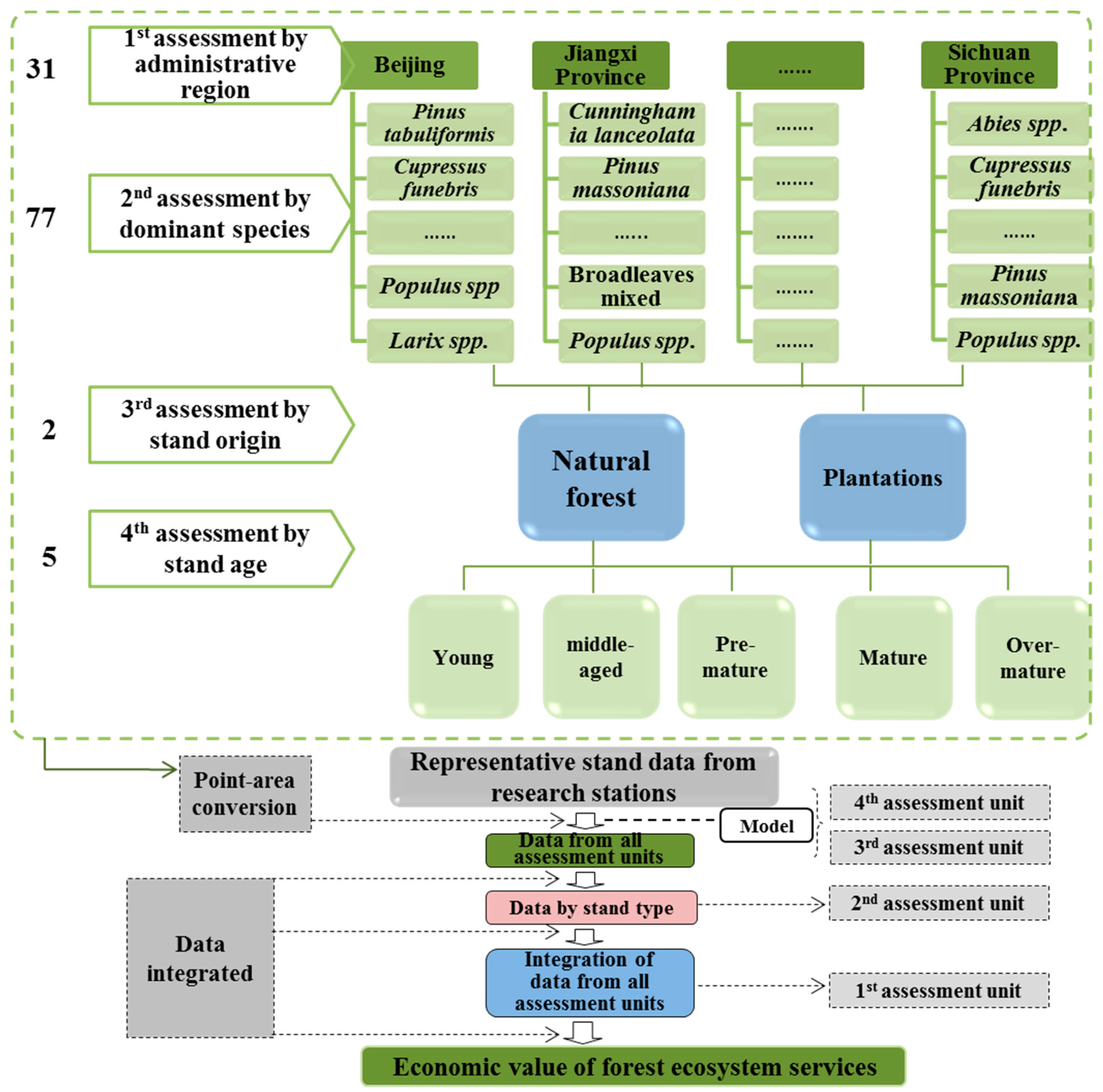 Forests 11 00732 g004