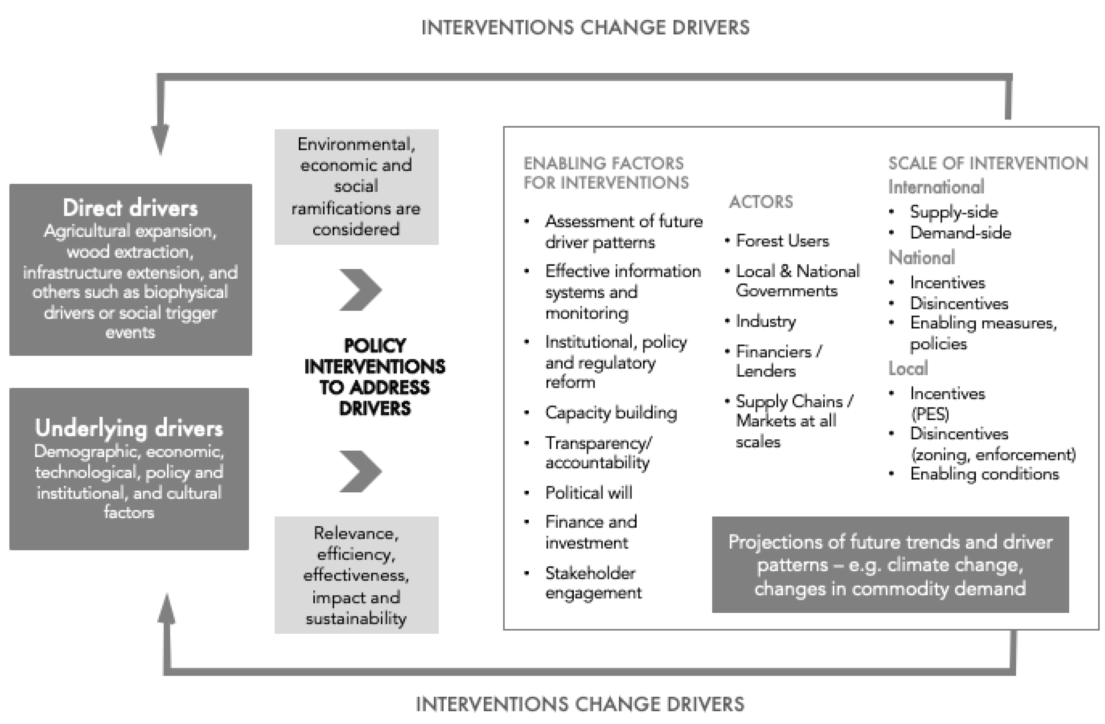 Forests 11 00733 g001
