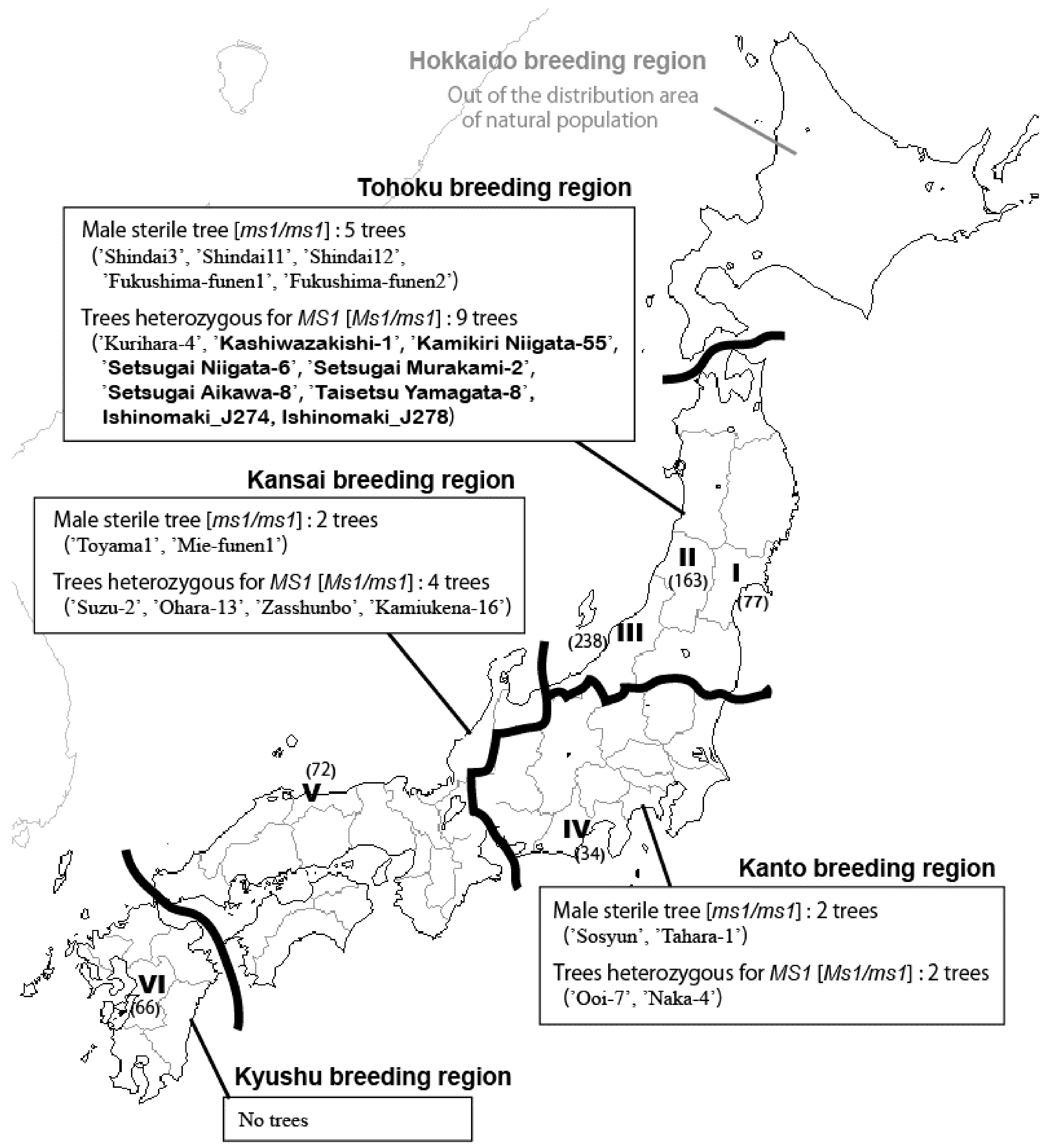 Forests 11 00734 g002 Forests 11 00734 g002