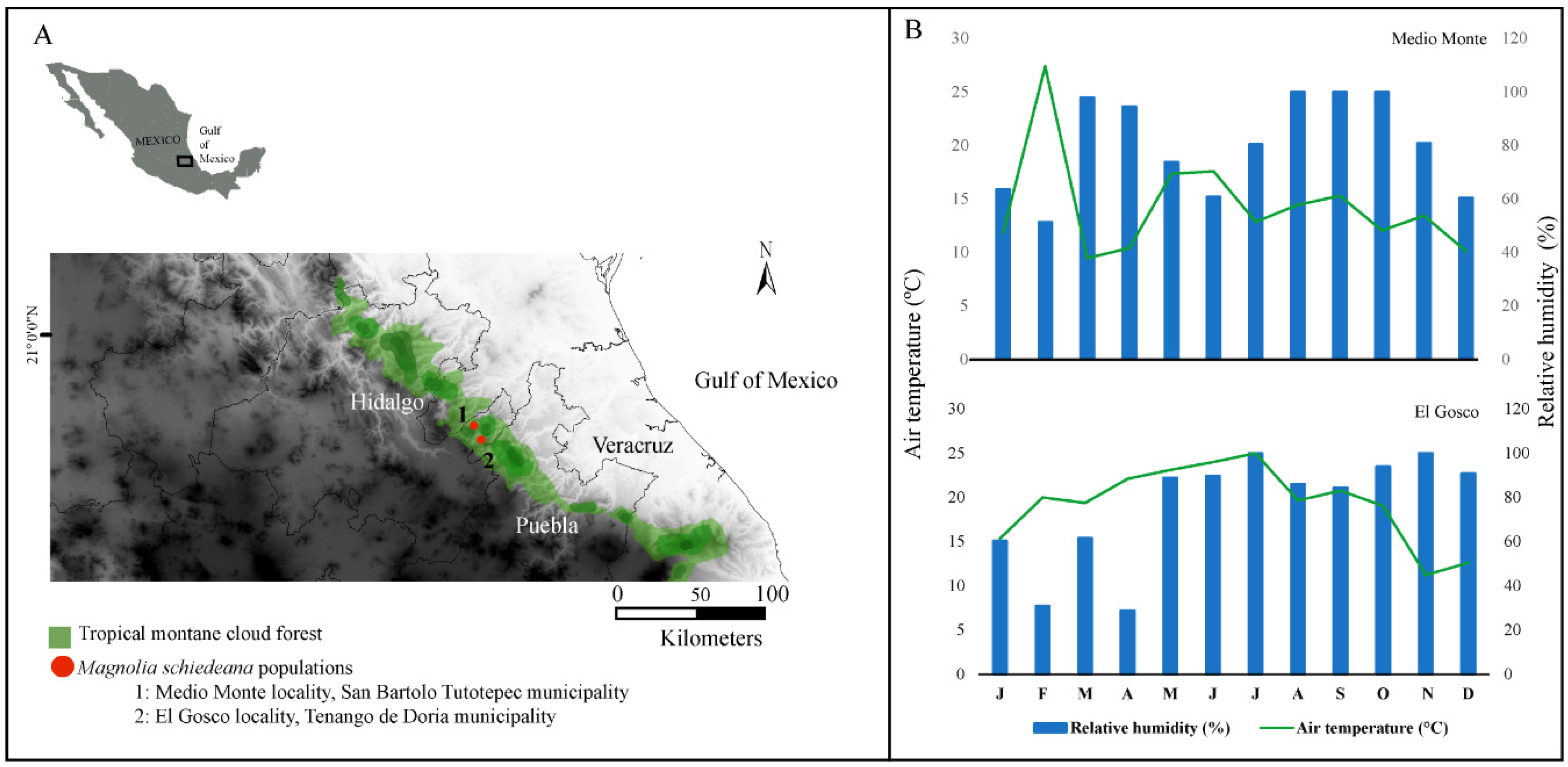 Forests 11 00737 g001 Forests 11 00737 g001