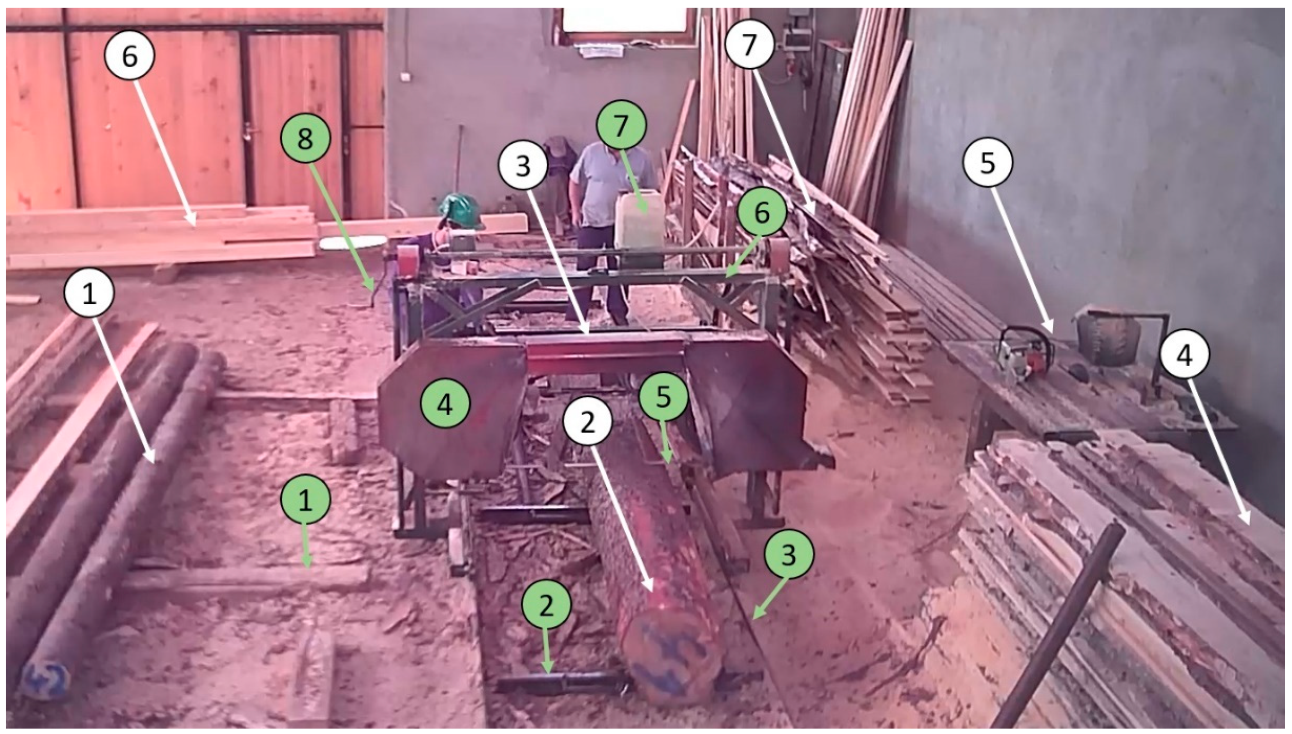 Forests 11 00739 g001