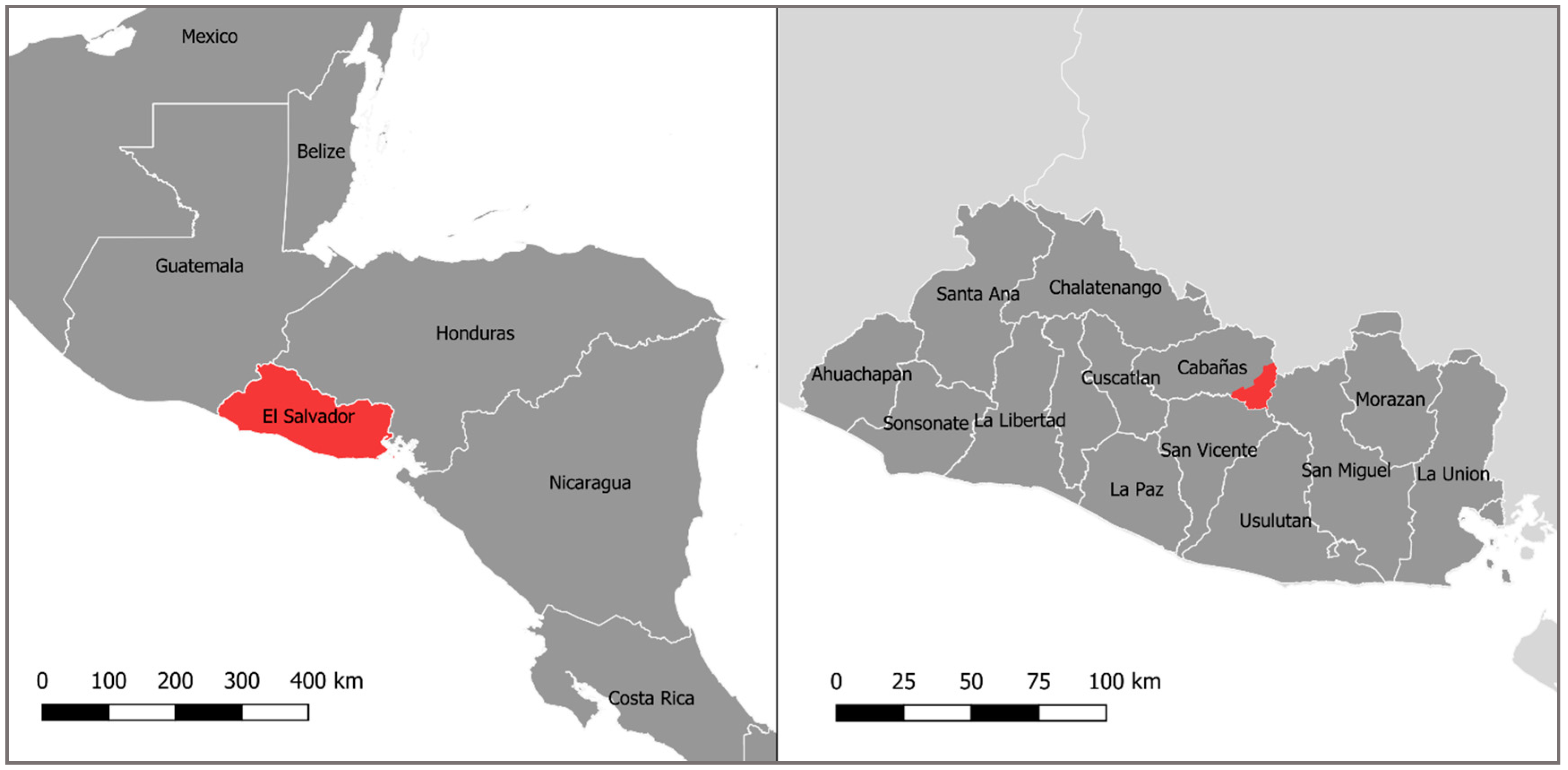 Forests 11 00747 g001