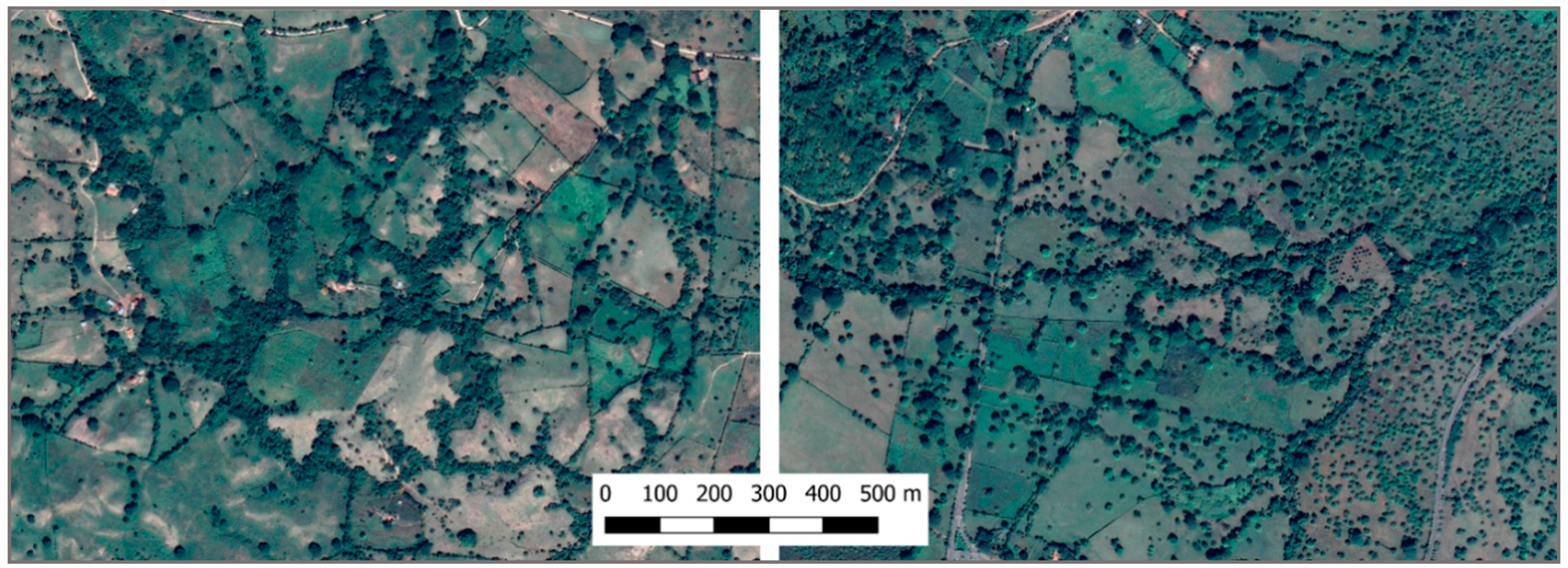 Forests 11 00747 g003