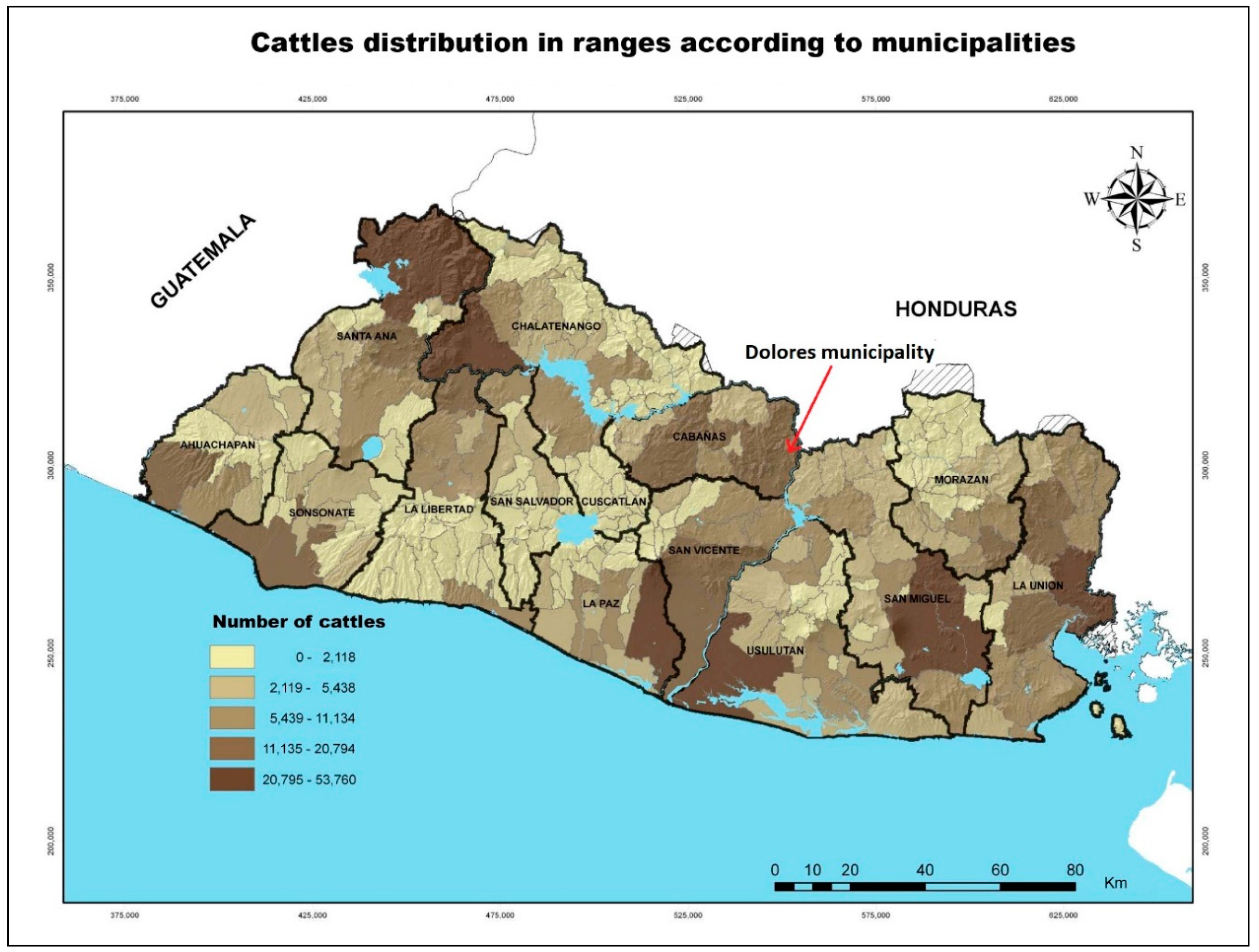 Forests 11 00747 g006