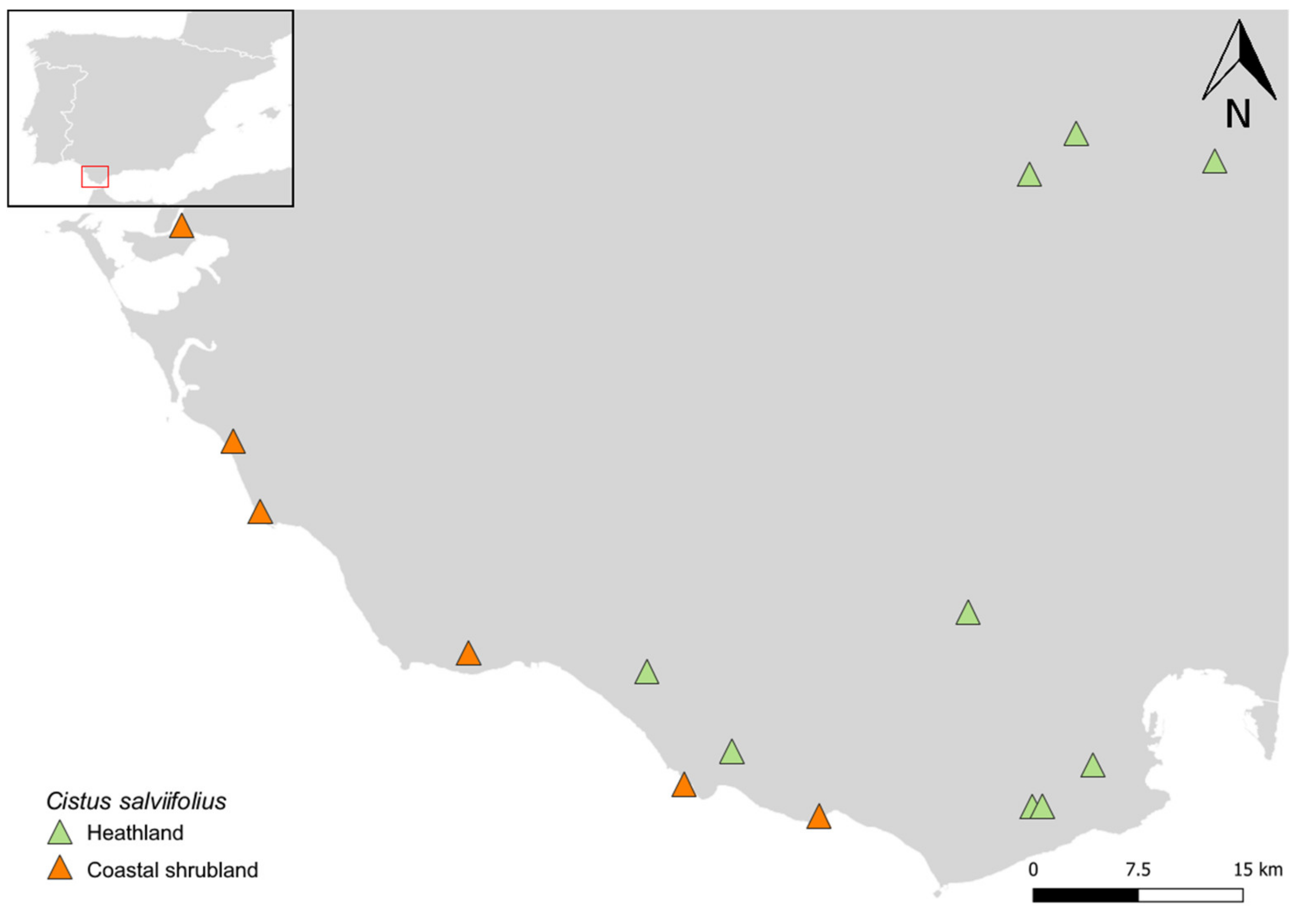 Forests 11 00748 g001 Forests 11 00748 g001