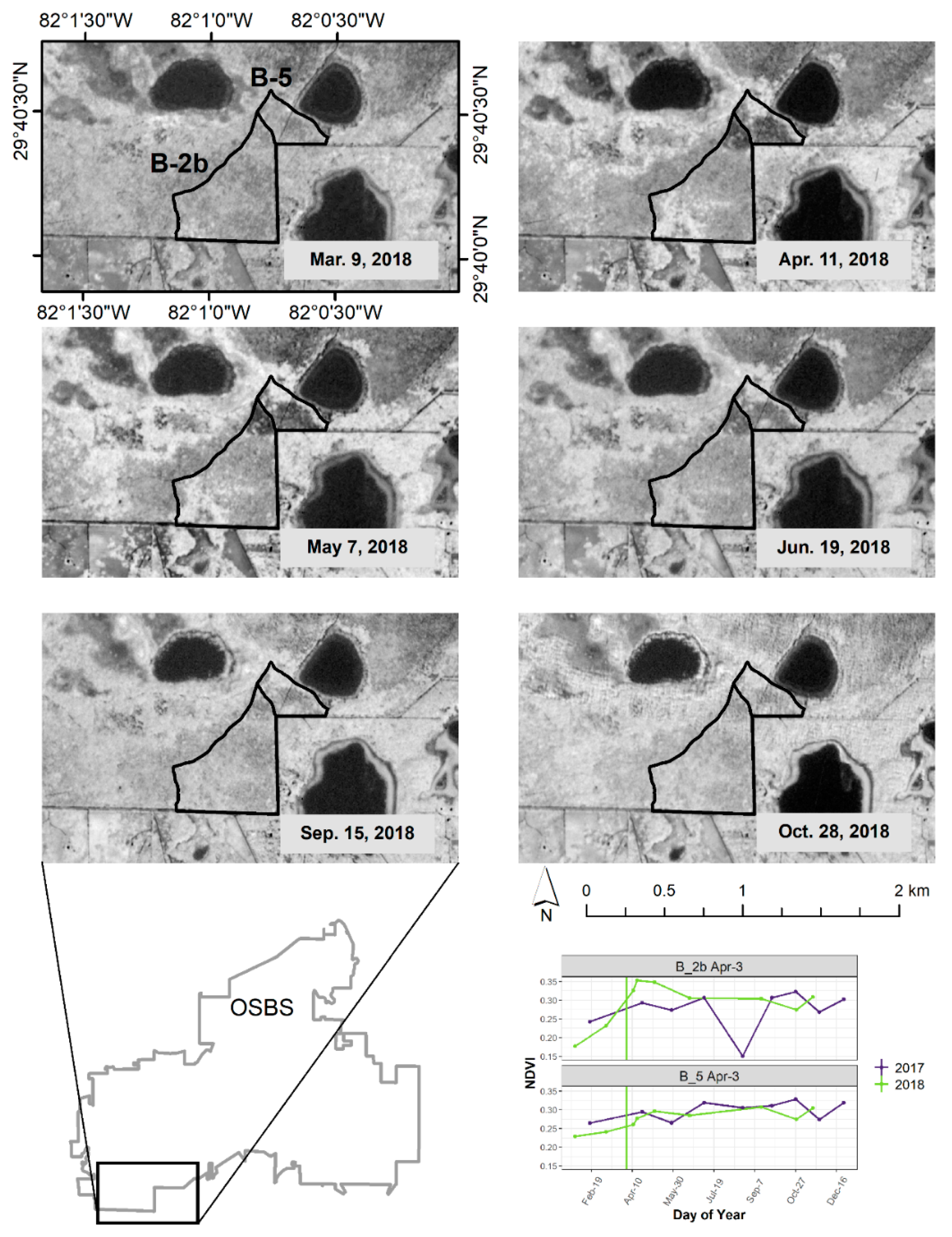 Forests 11 00749 g004