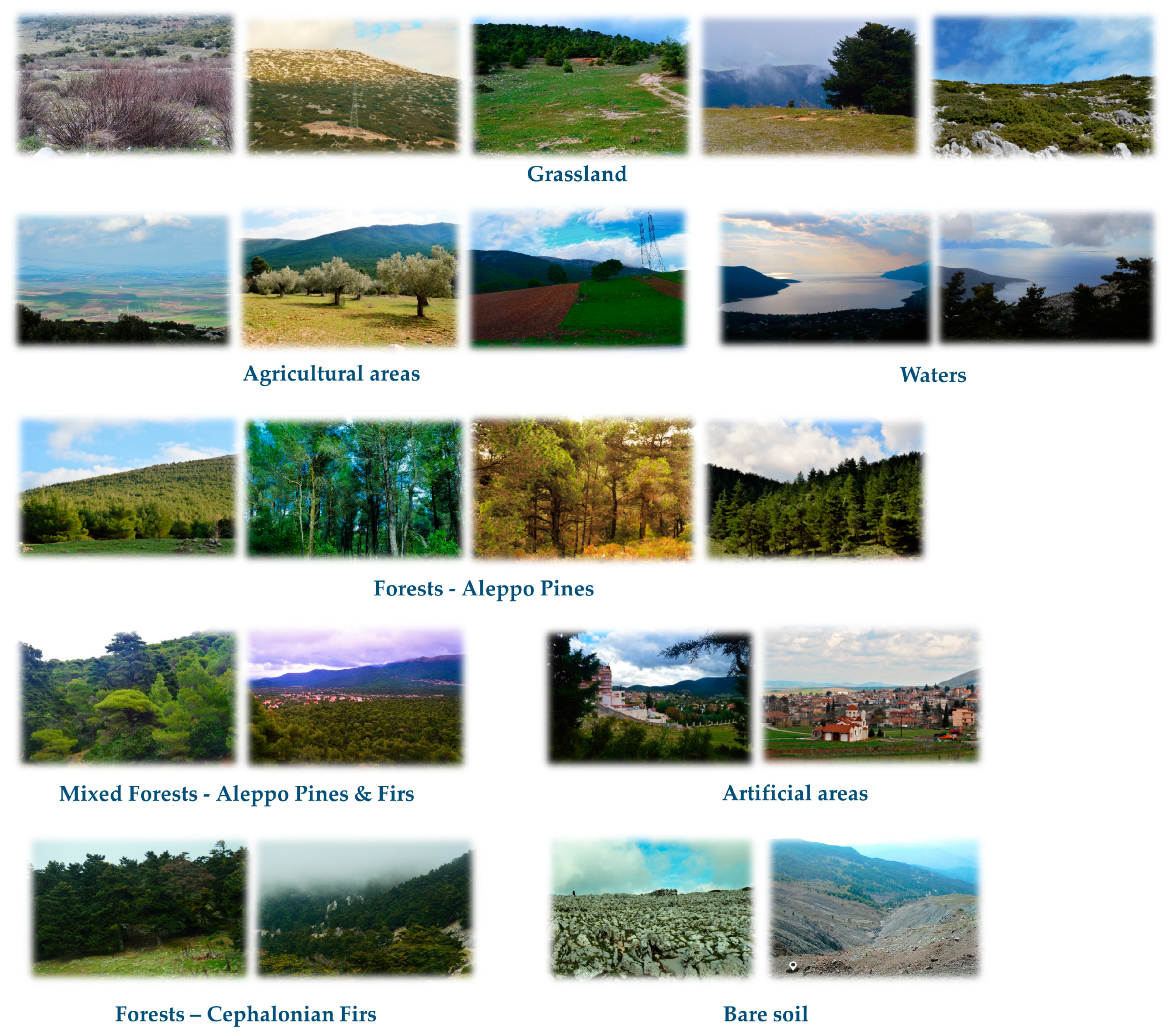 Forests 11 00750 g003 Forests 11 00750 g003