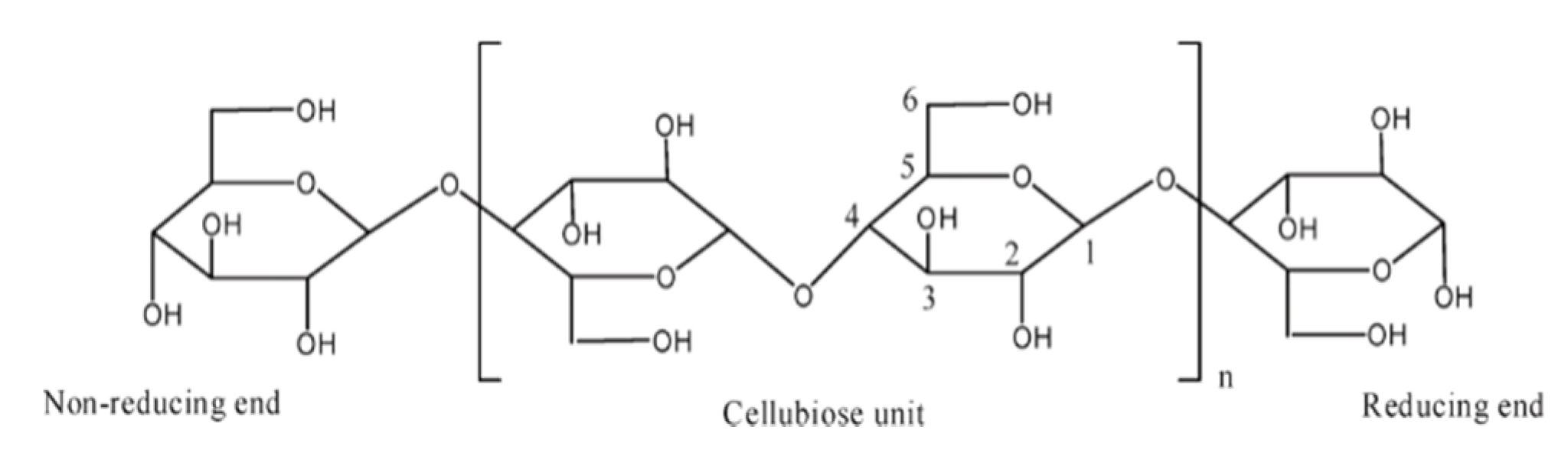 Forests 11 00755 g001