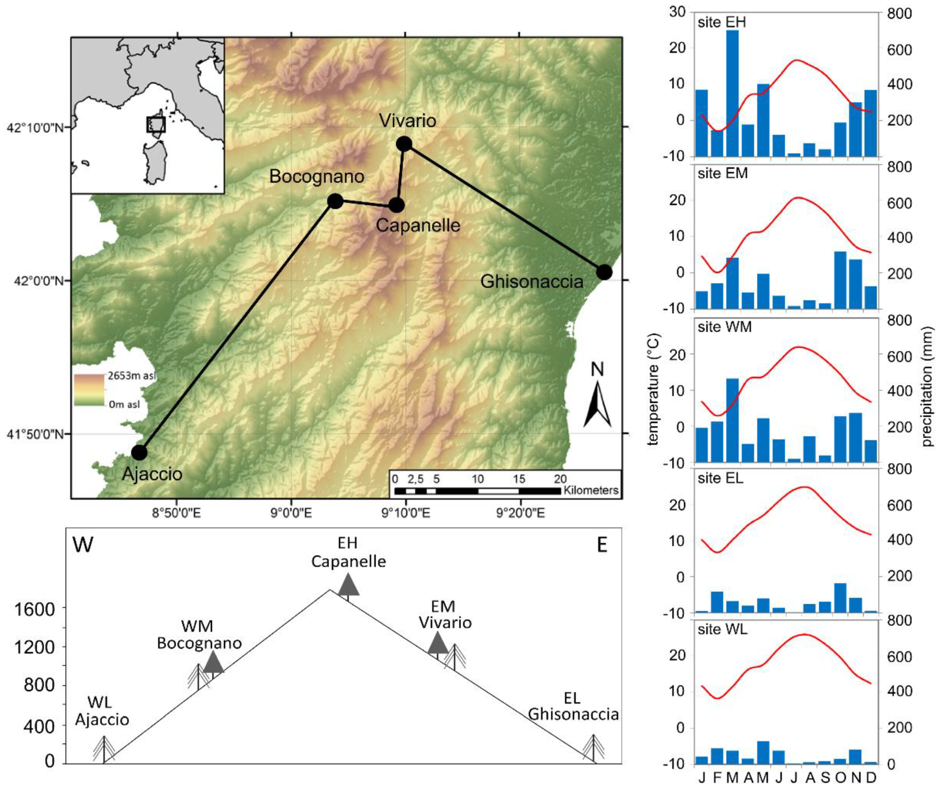 Forests 11 00758 g001