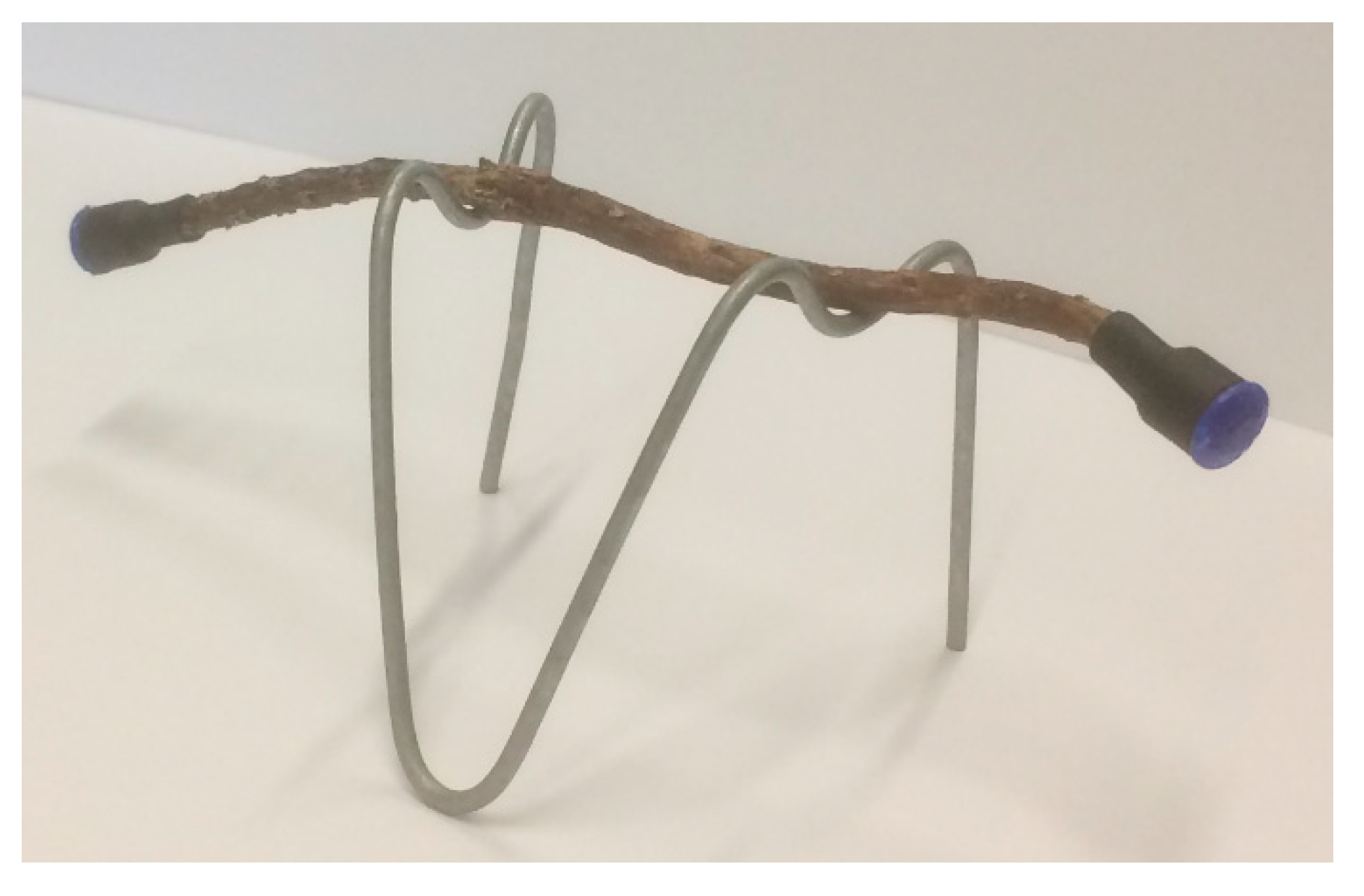 Forests 11 00759 g001