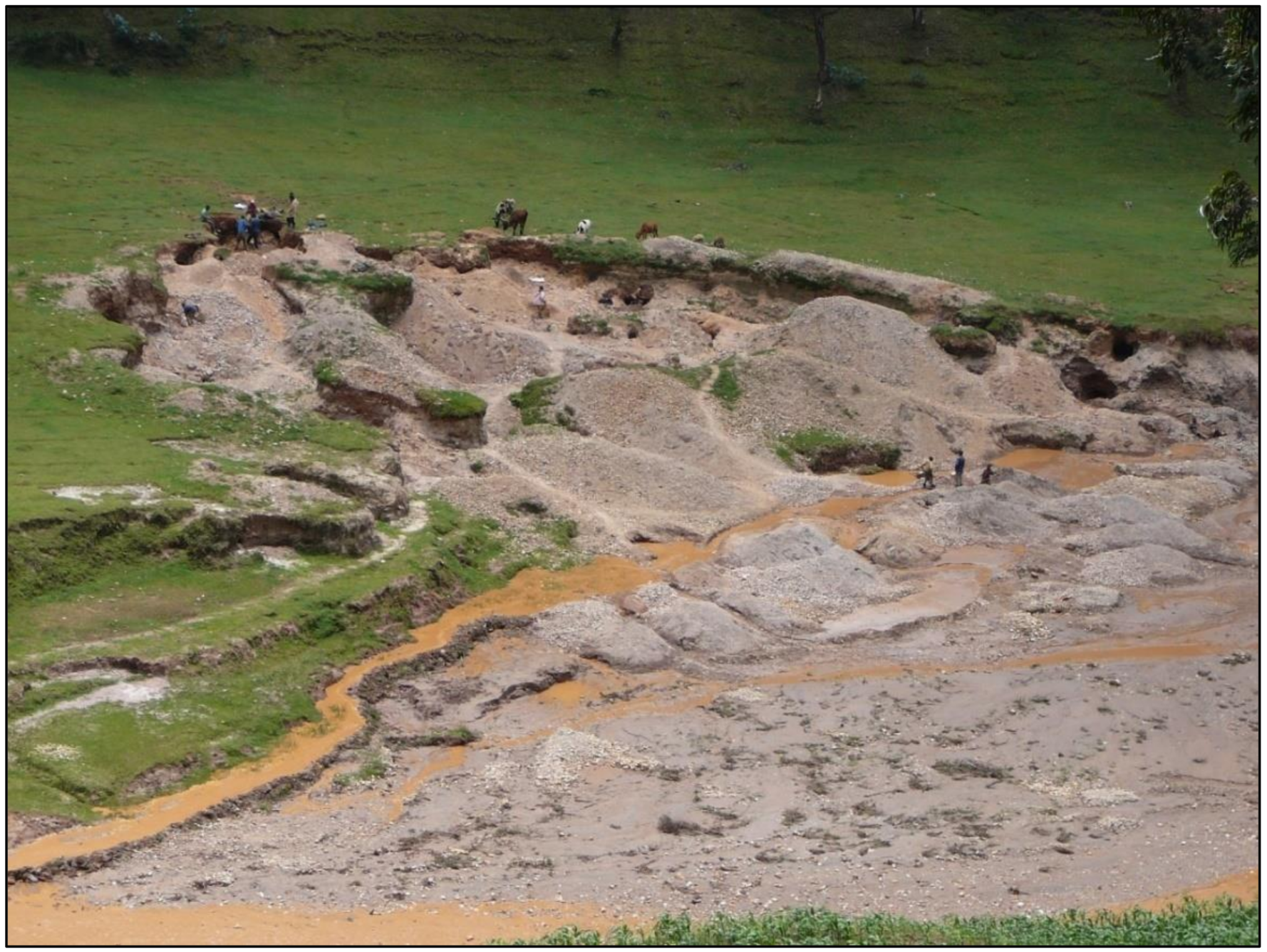 Forests 11 00762 g004