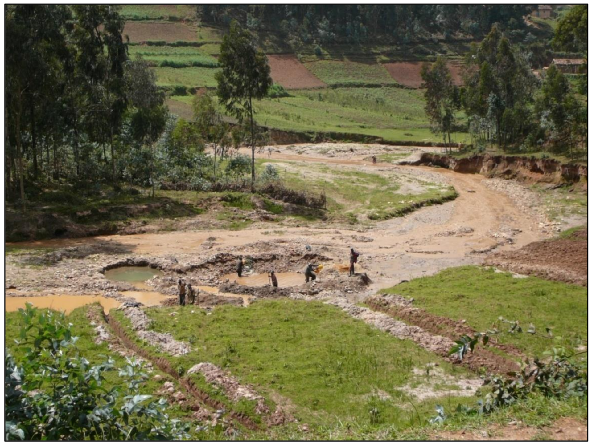 Forests 11 00762 g005