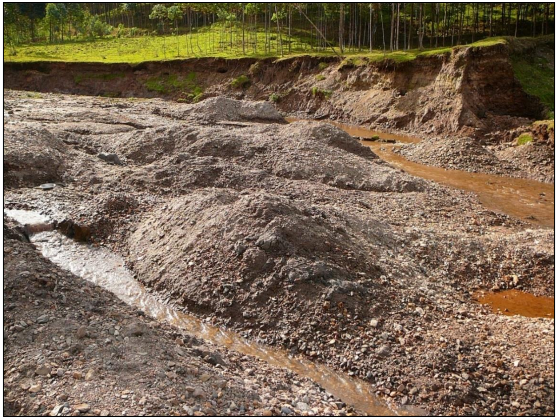 Forests 11 00762 g006