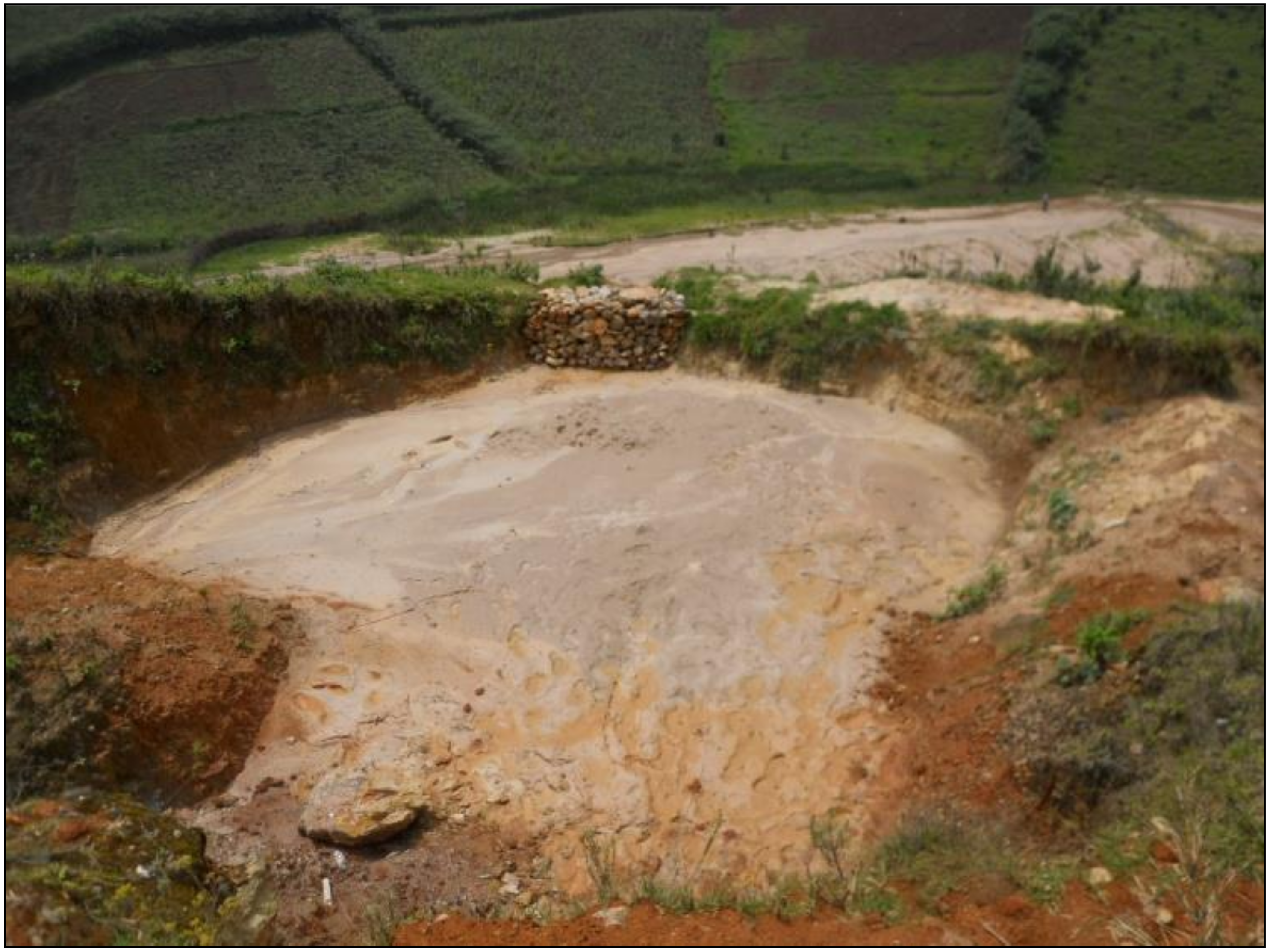 Forests 11 00762 g010