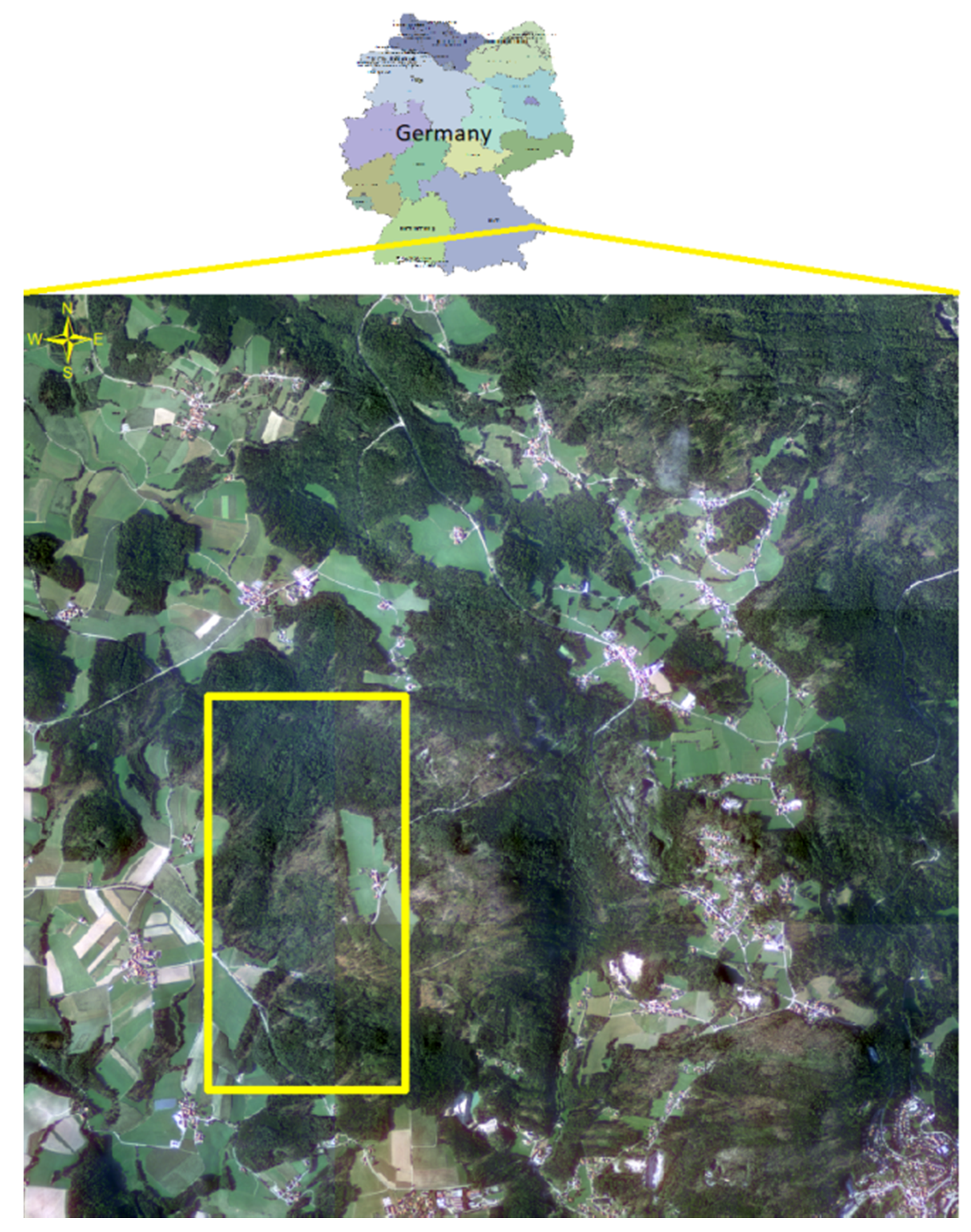 Forests 11 00763 g001 Forests 11 00763 g001