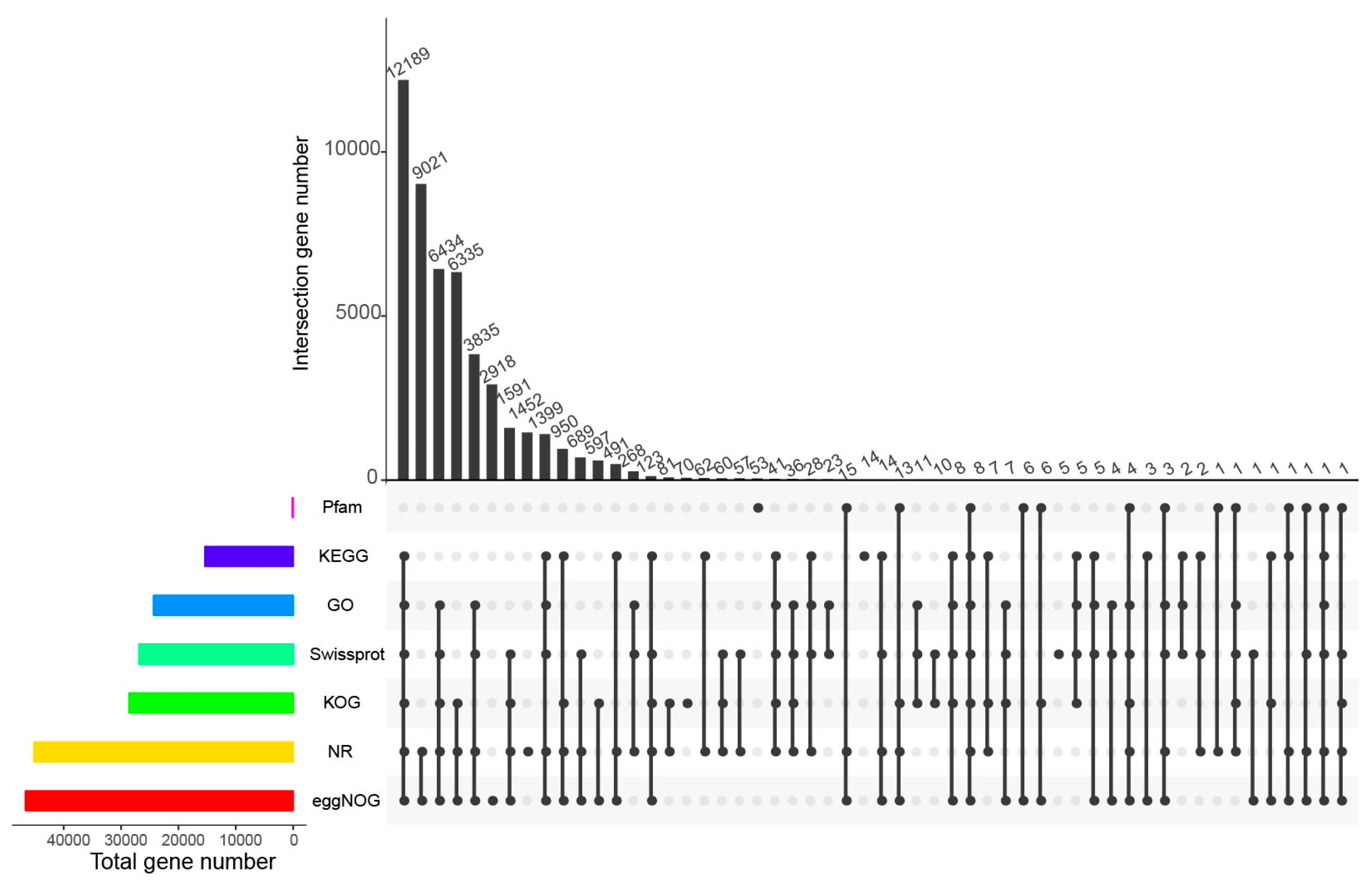 Forests 11 00766 g001