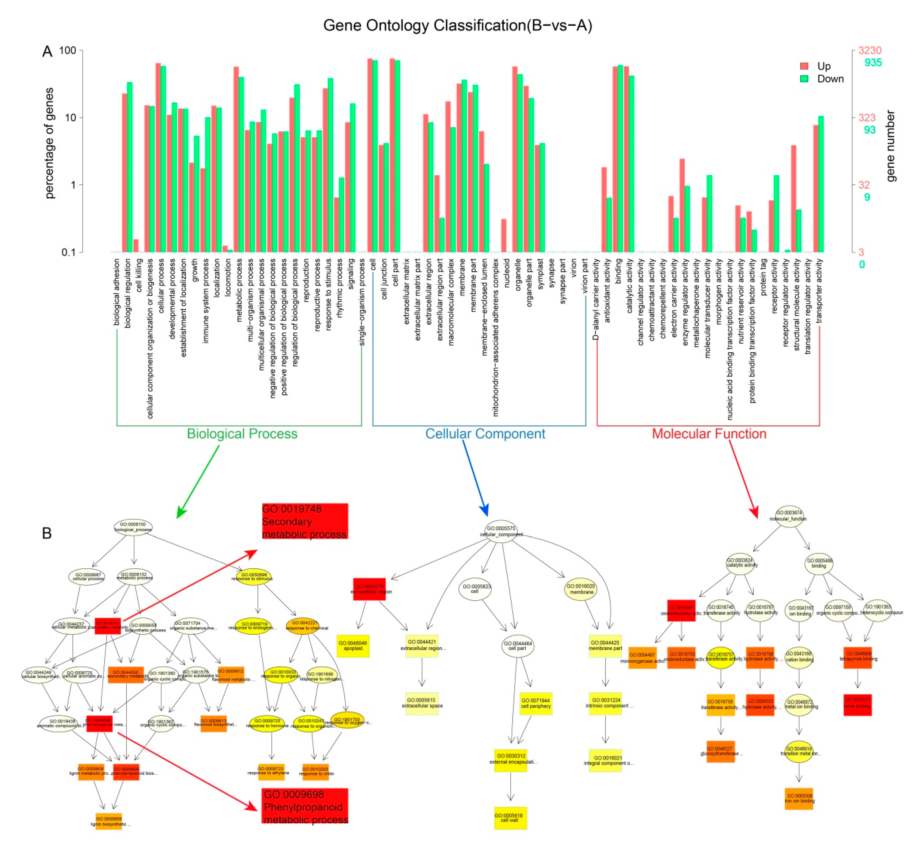Forests 11 00766 g005