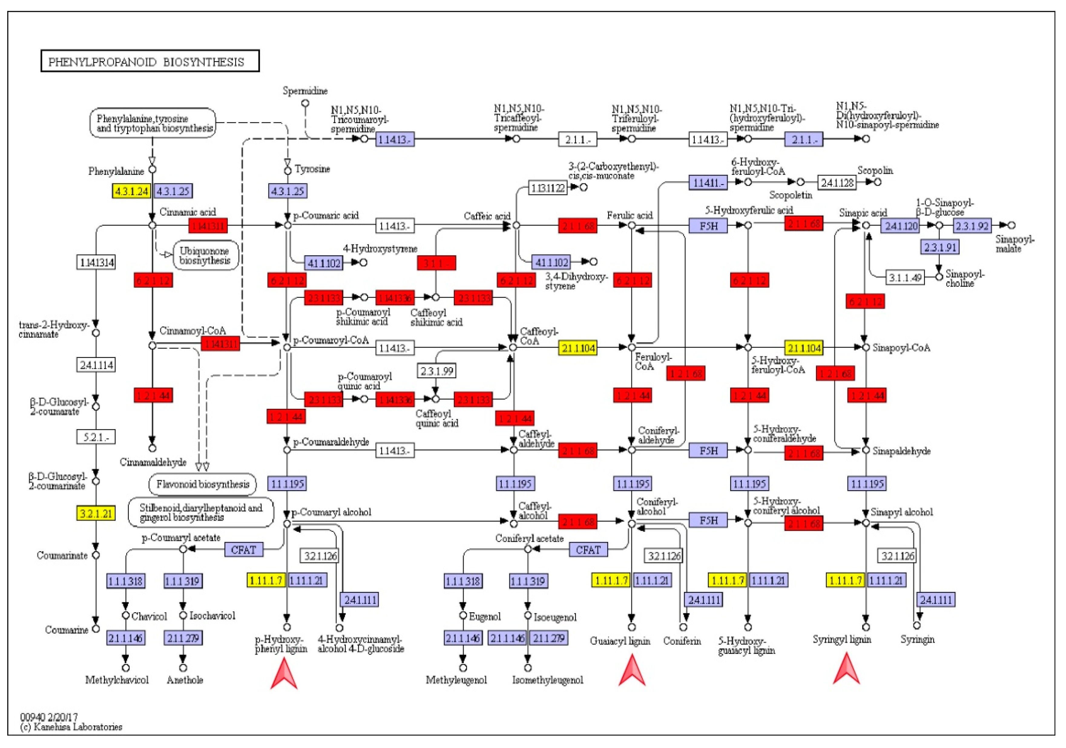 Forests 11 00766 g008