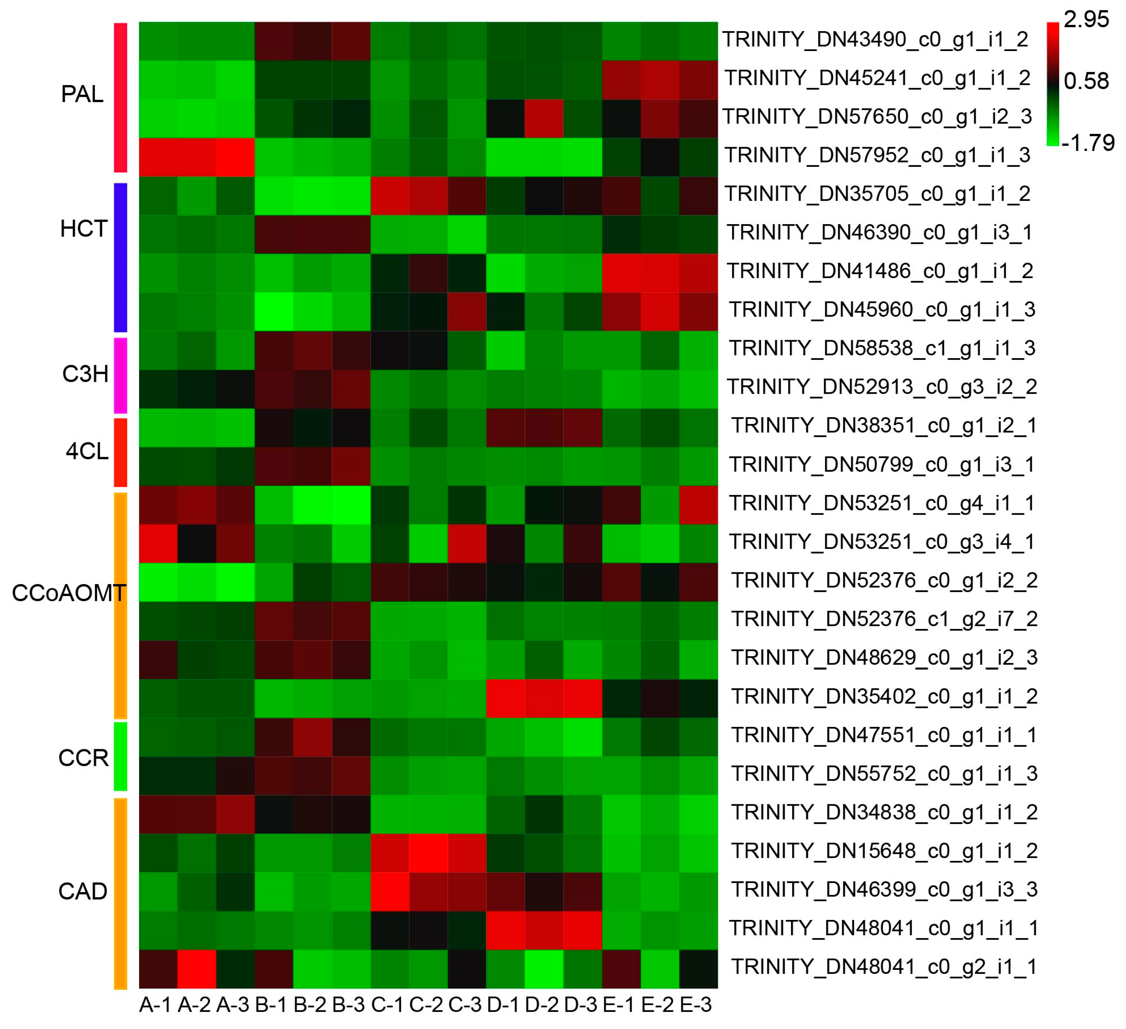 Forests 11 00766 g009