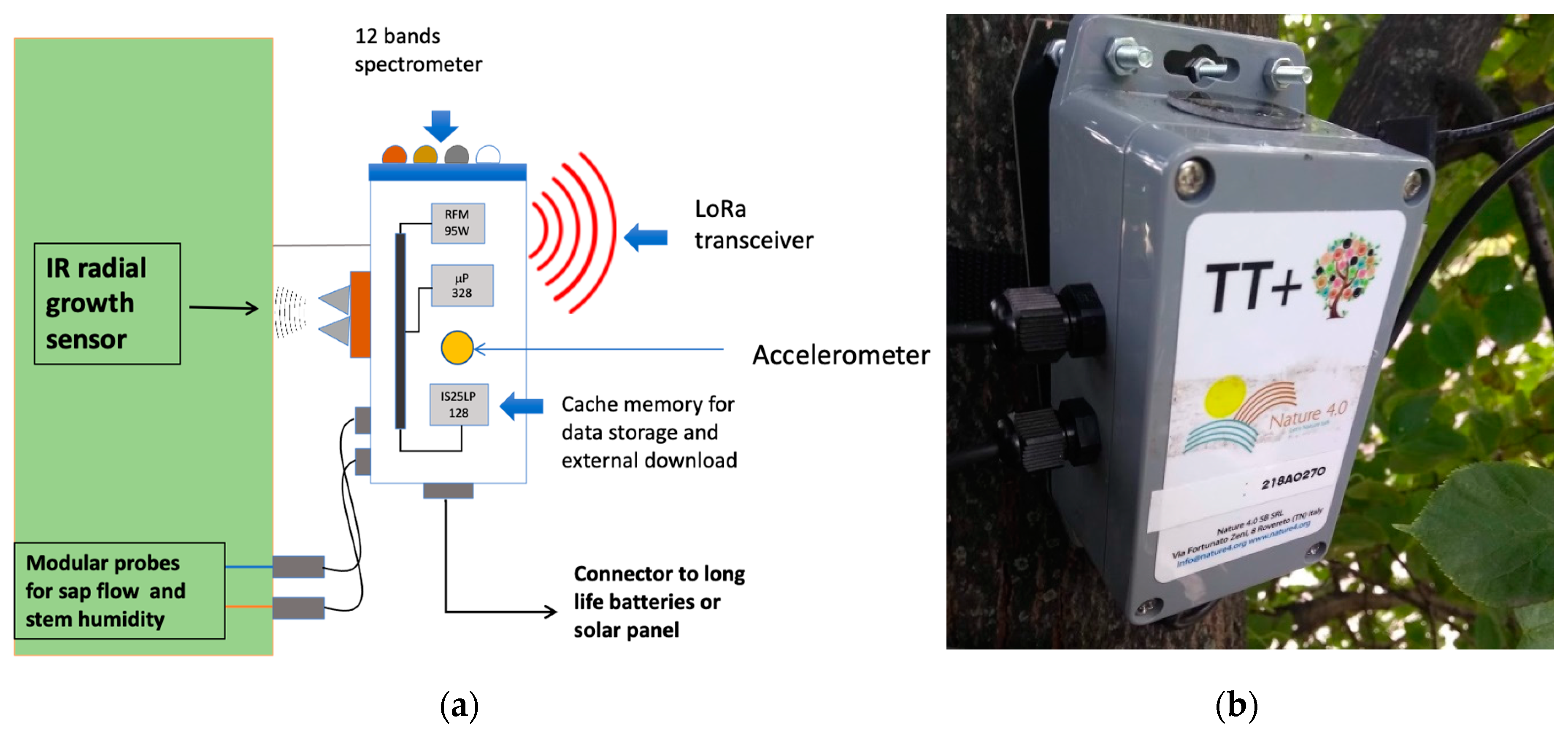 Forests 11 00775 g002 Forests 11 00775 g002