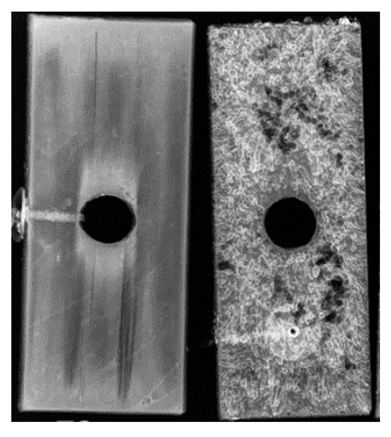 Forests 11 00776 g002 Forests 11 00776 g002