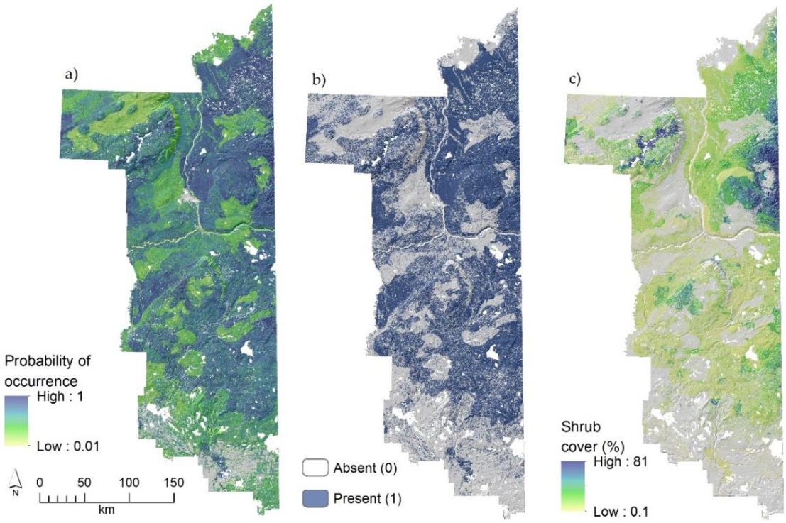 Forests 11 00783 g003 Forests 11 00783 g003