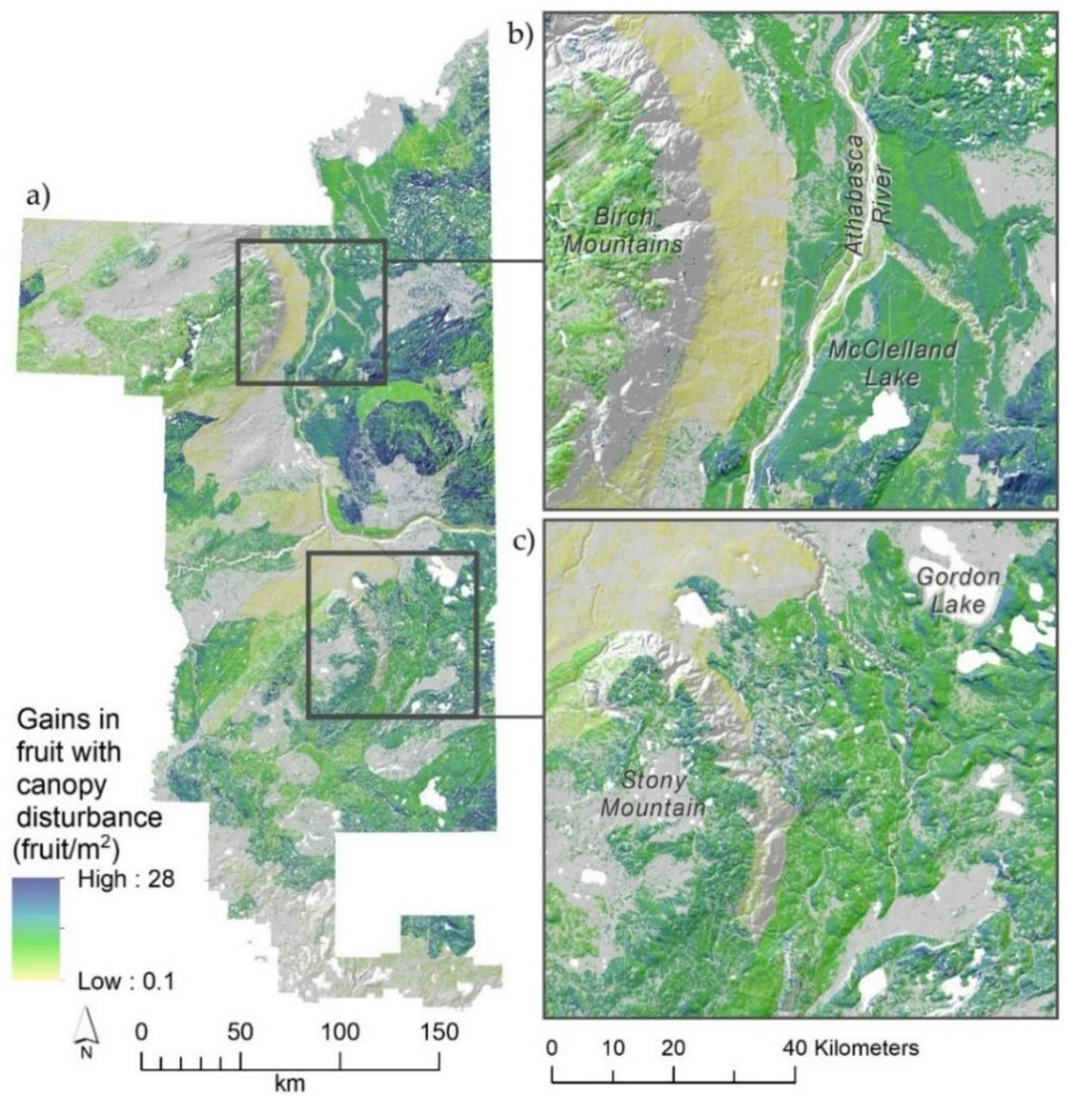 Forests 11 00783 g006 Forests 11 00783 g006
