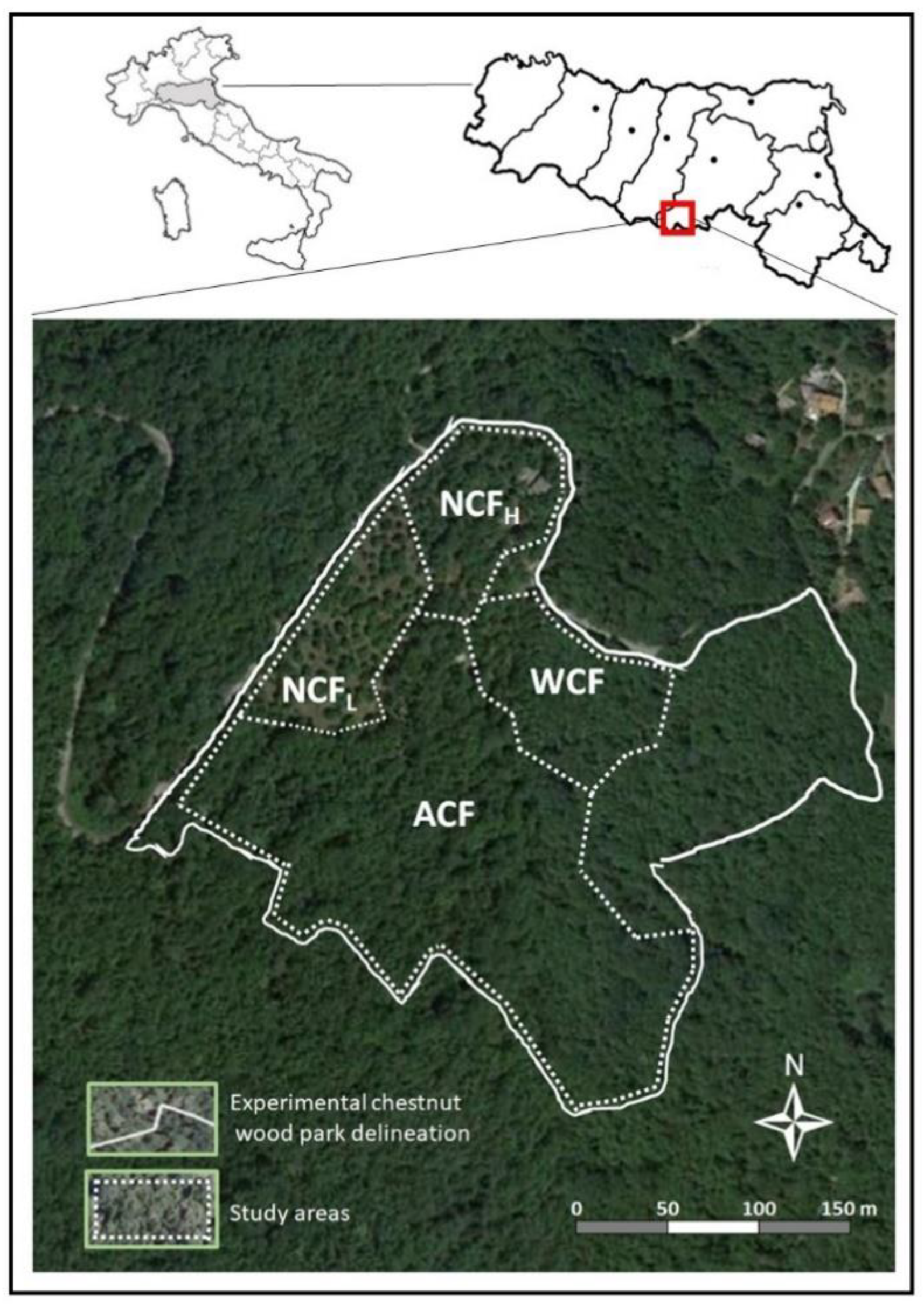 Forests 11 00786 g001 Forests 11 00786 g001