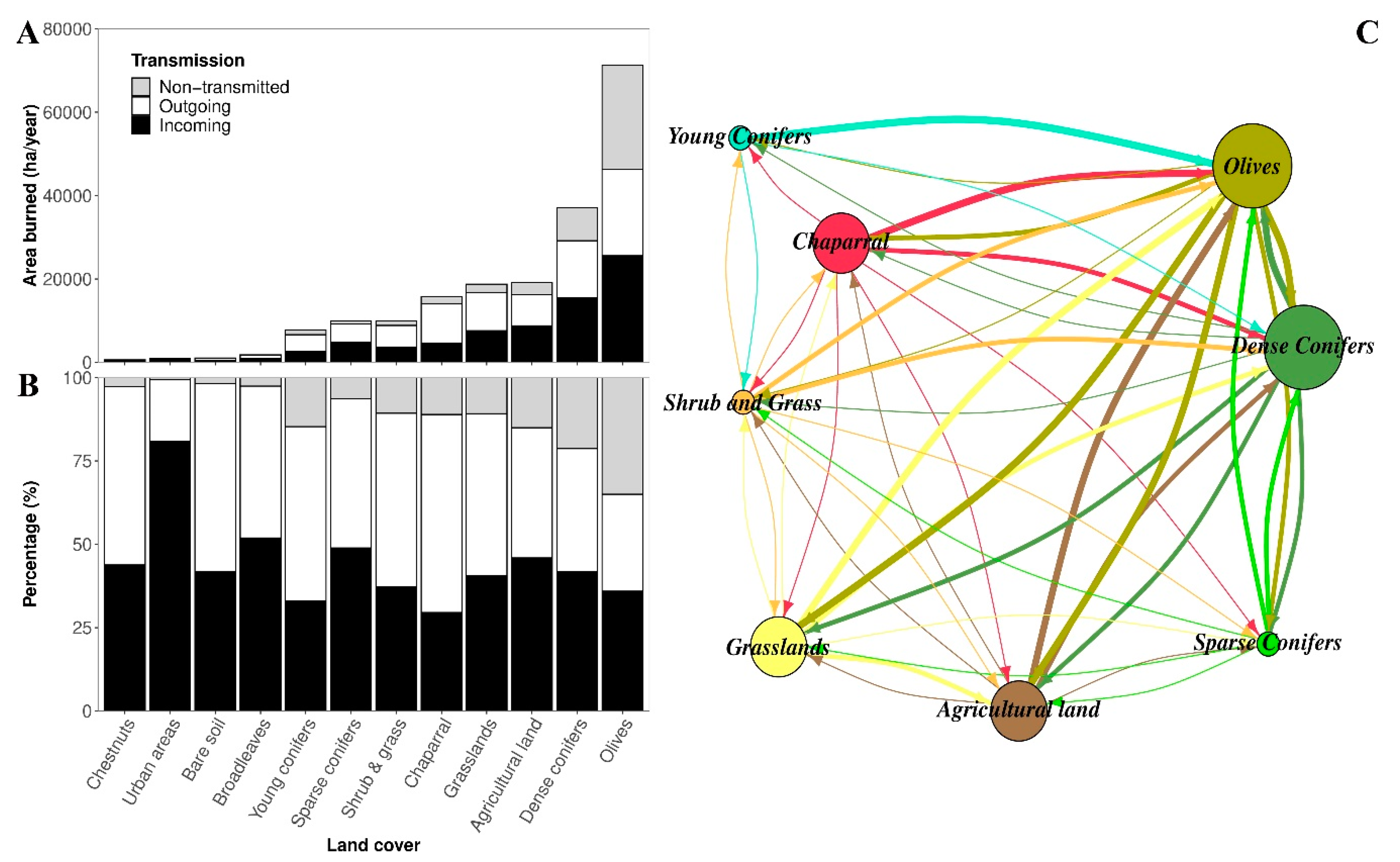 Forests 11 00789 g004 Forests 11 00789 g004