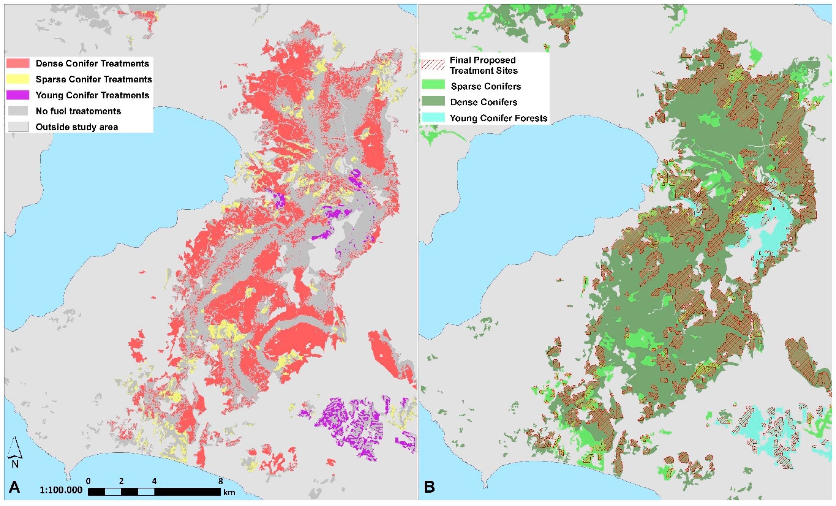 Forests 11 00789 g006 Forests 11 00789 g006