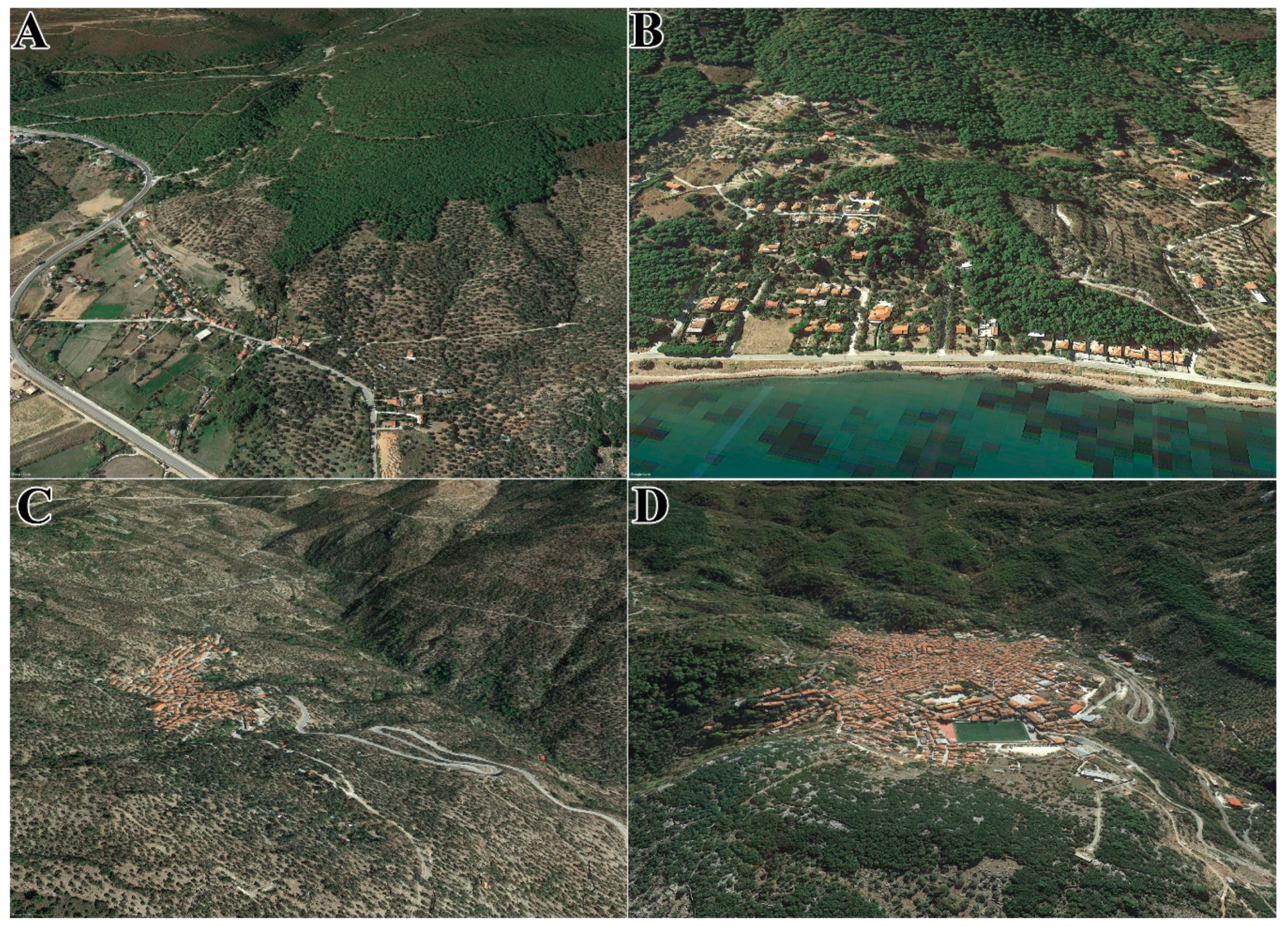 Forests 11 00789 g0a6 Forests 11 00789 g0a6