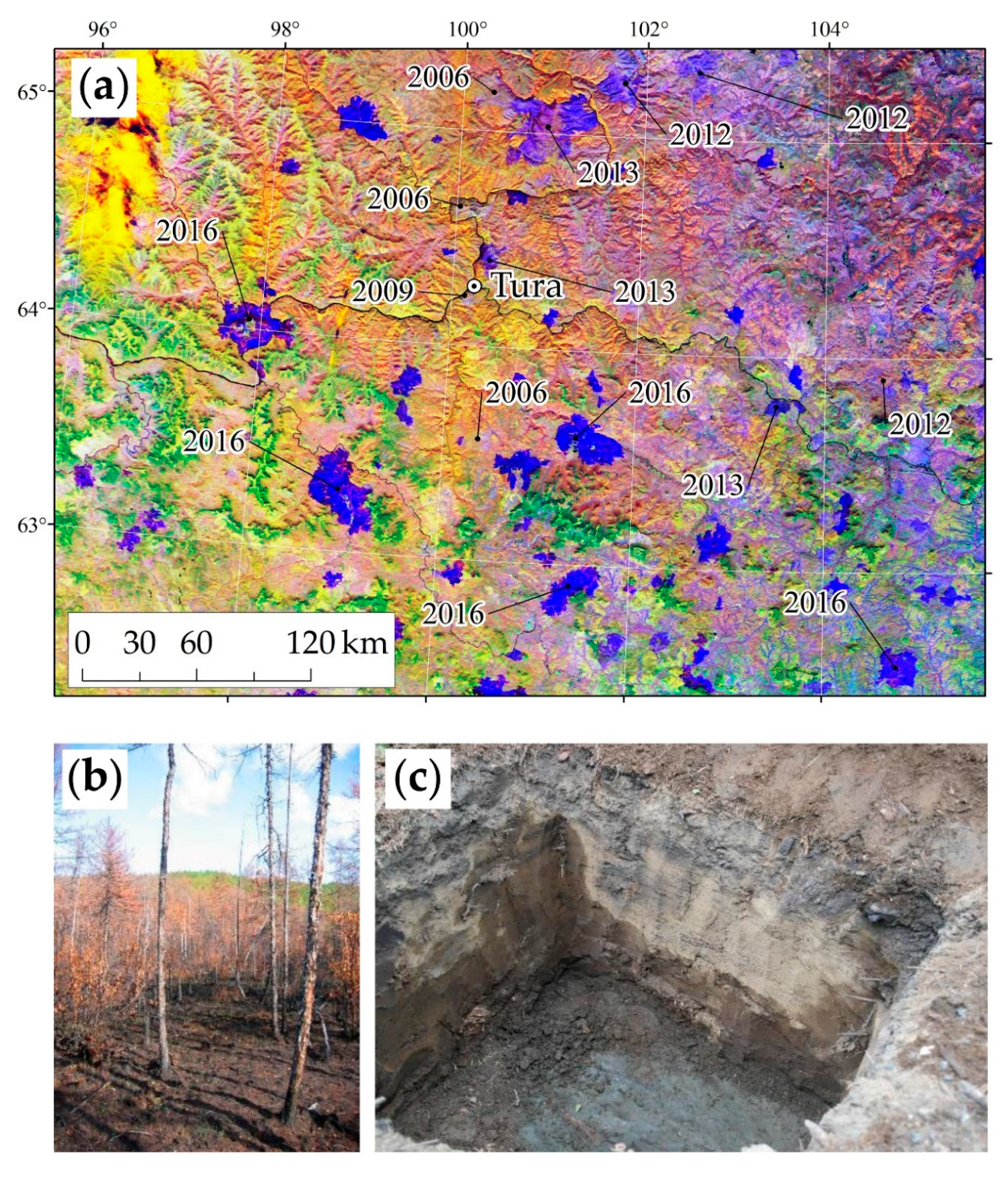 Forests 11 00790 g002 Forests 11 00790 g002