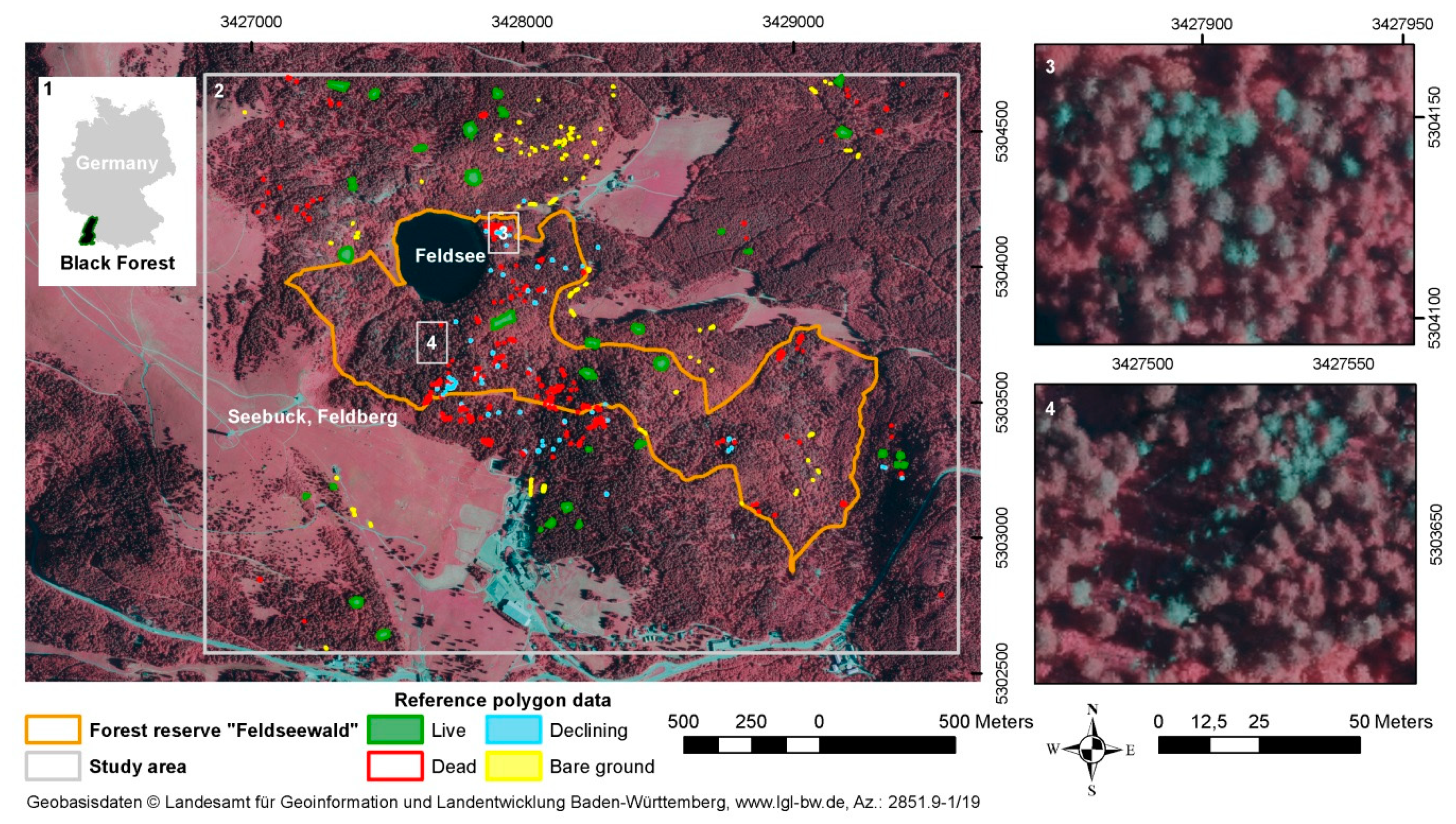 Forests 11 00801 g001 Forests 11 00801 g001