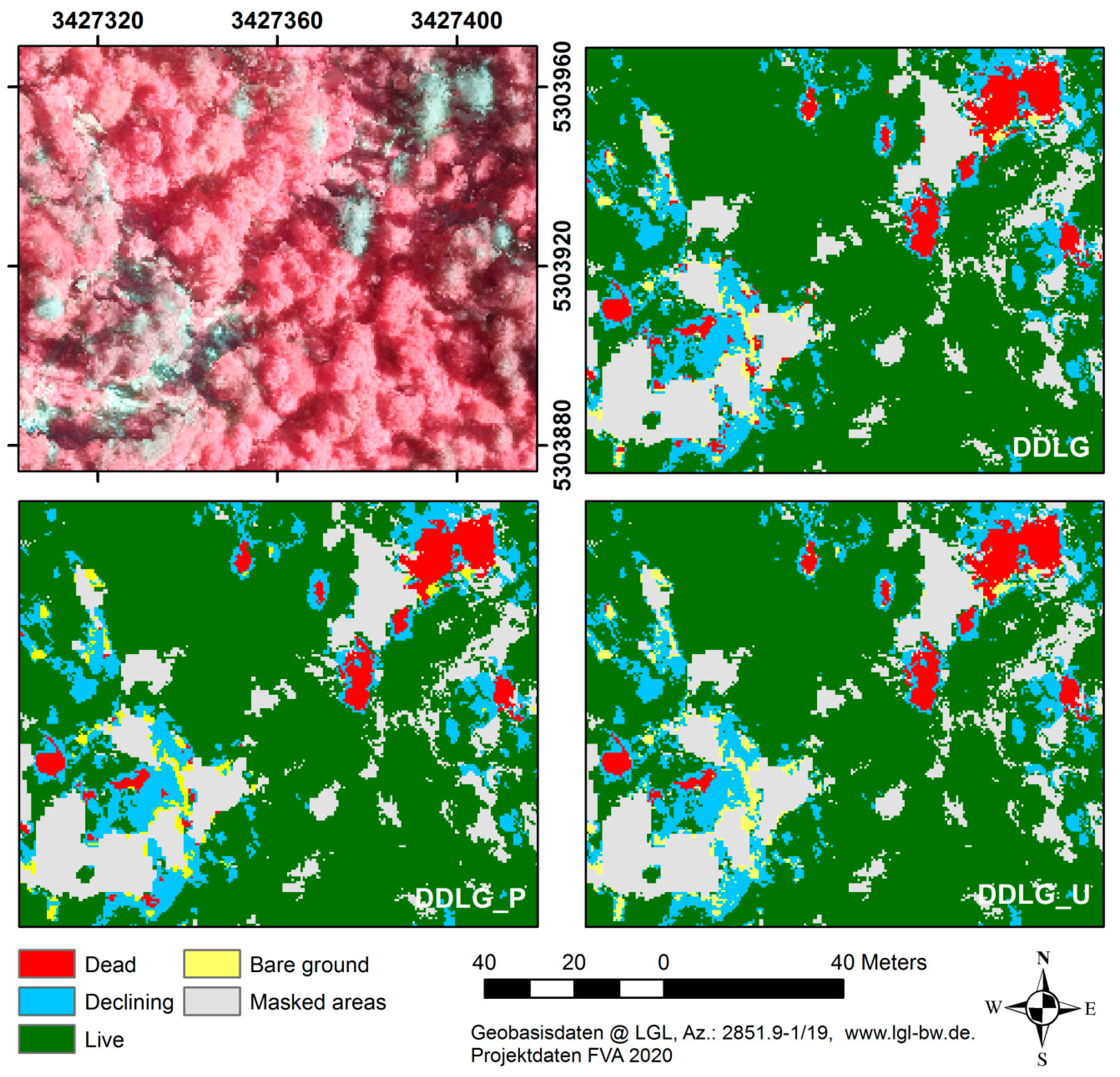 Forests 11 00801 g004 Forests 11 00801 g004