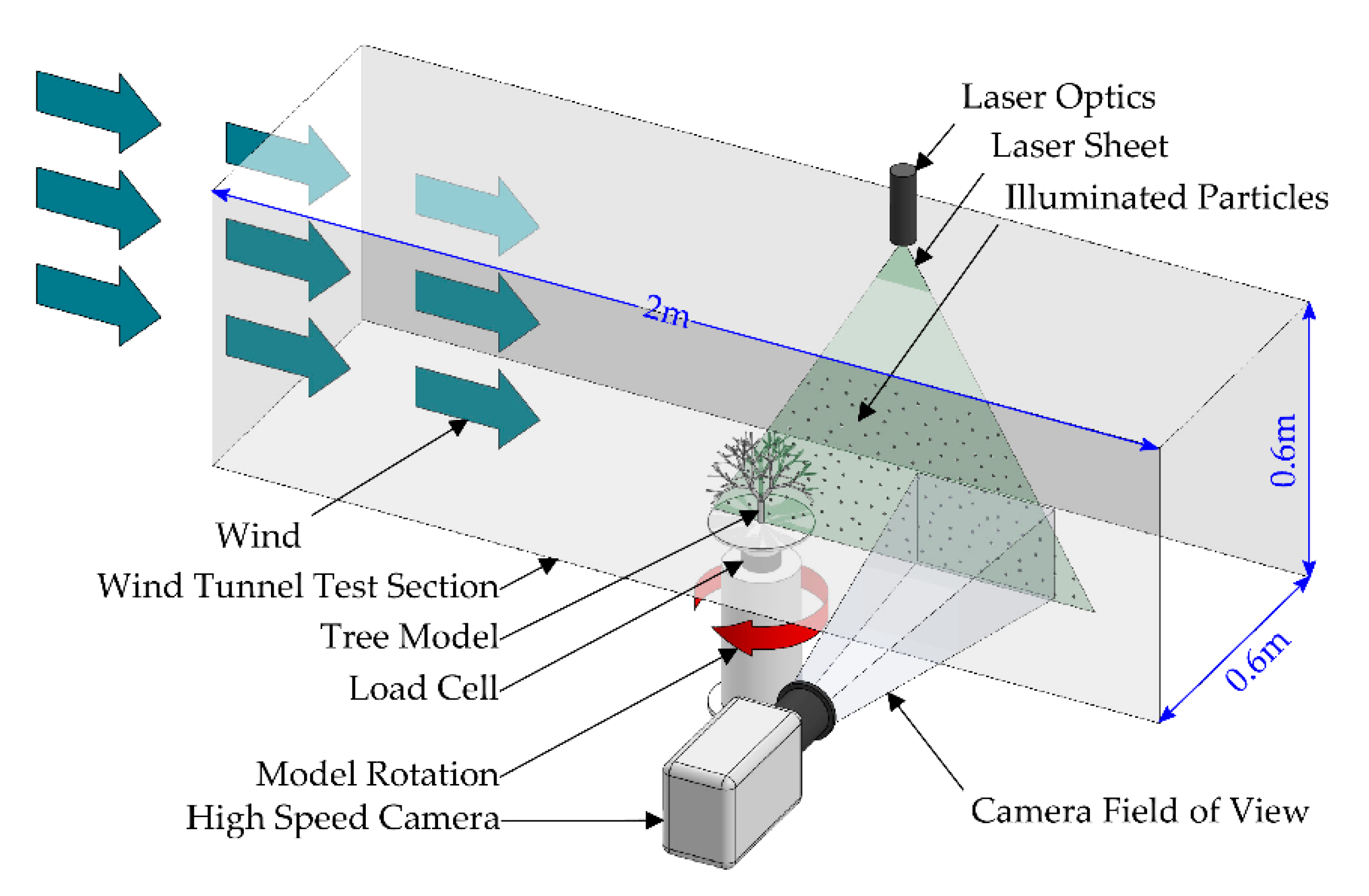 Forests 11 00803 g005 Forests 11 00803 g005