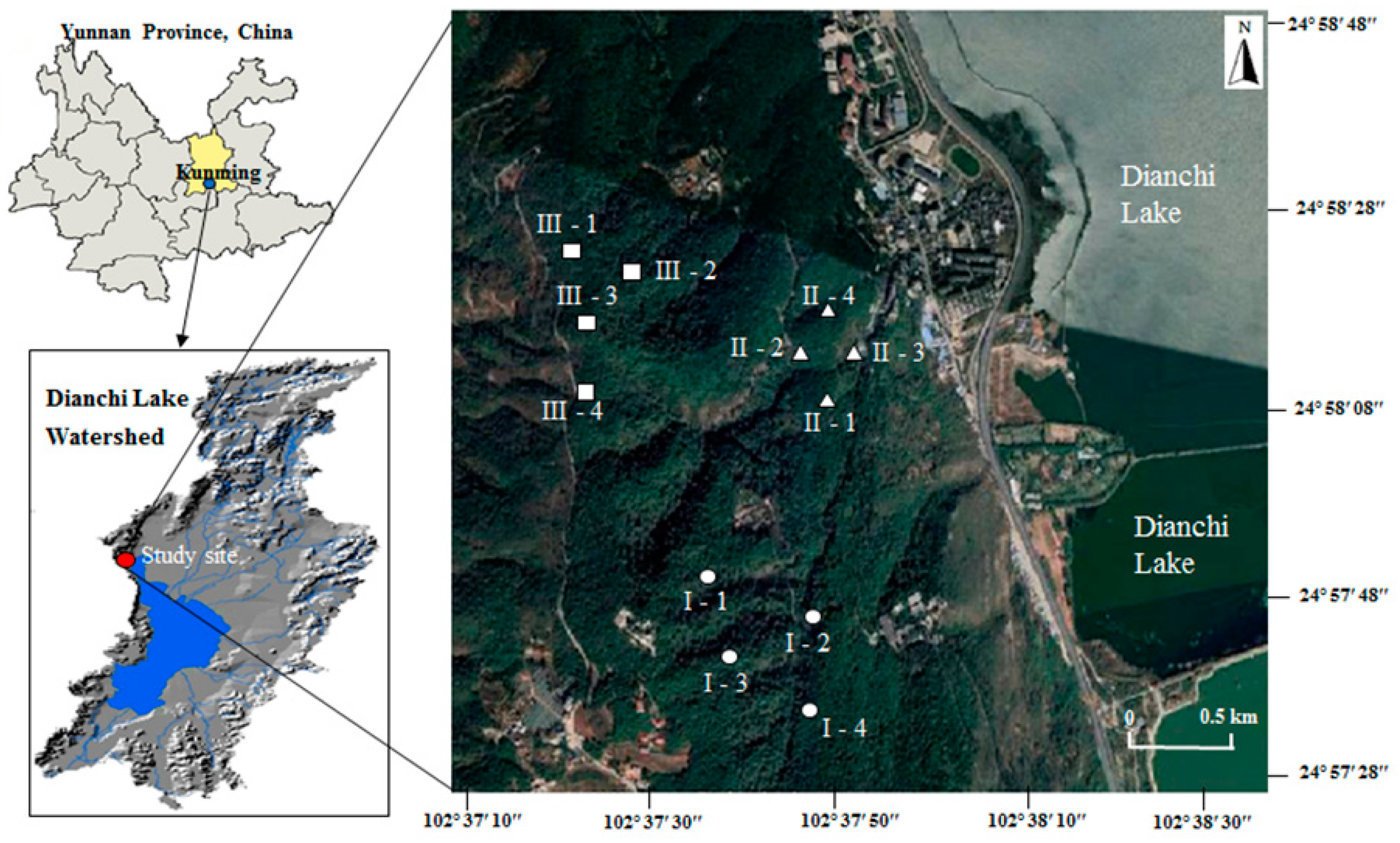 Forests 11 00806 g001 Forests 11 00806 g001
