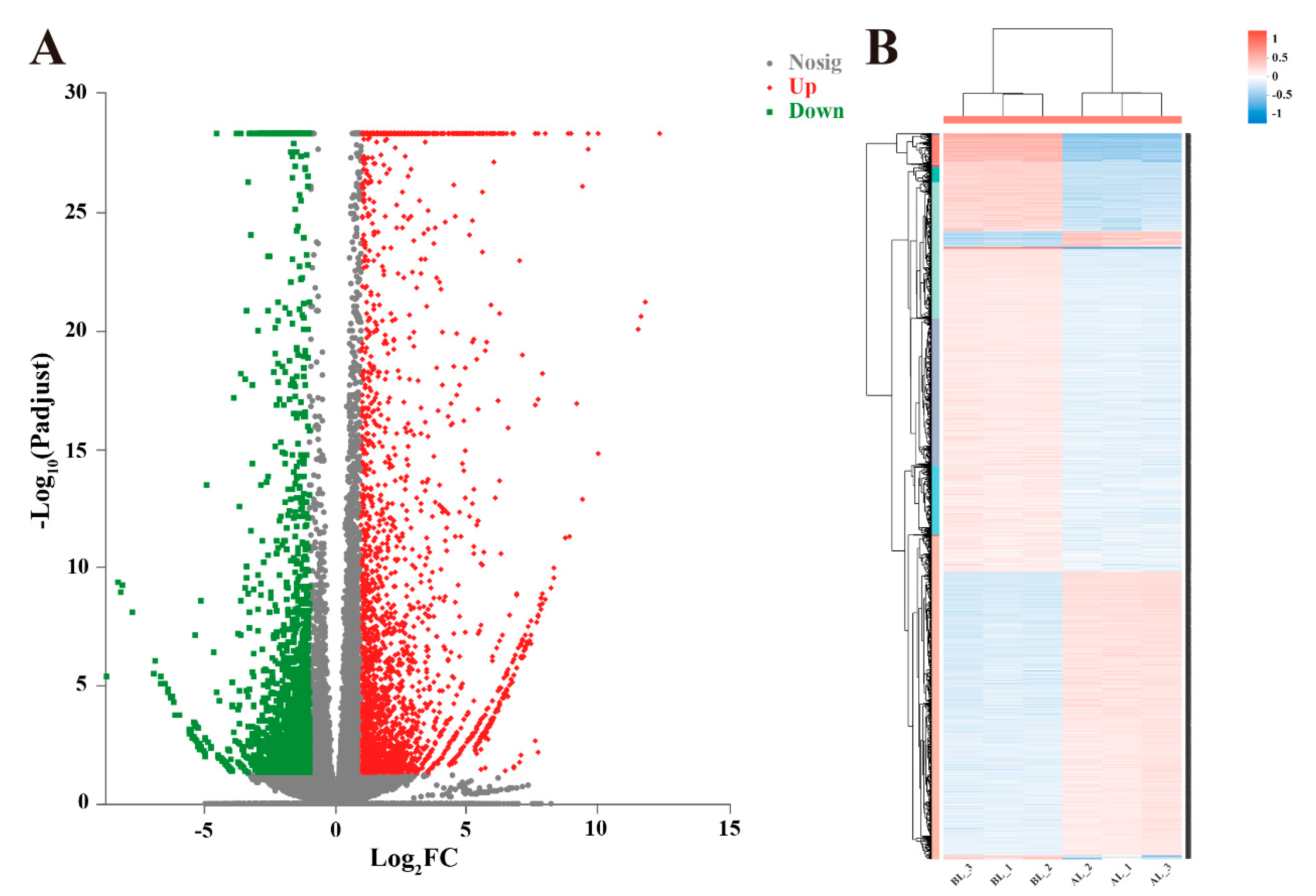 Forests 11 00812 g003