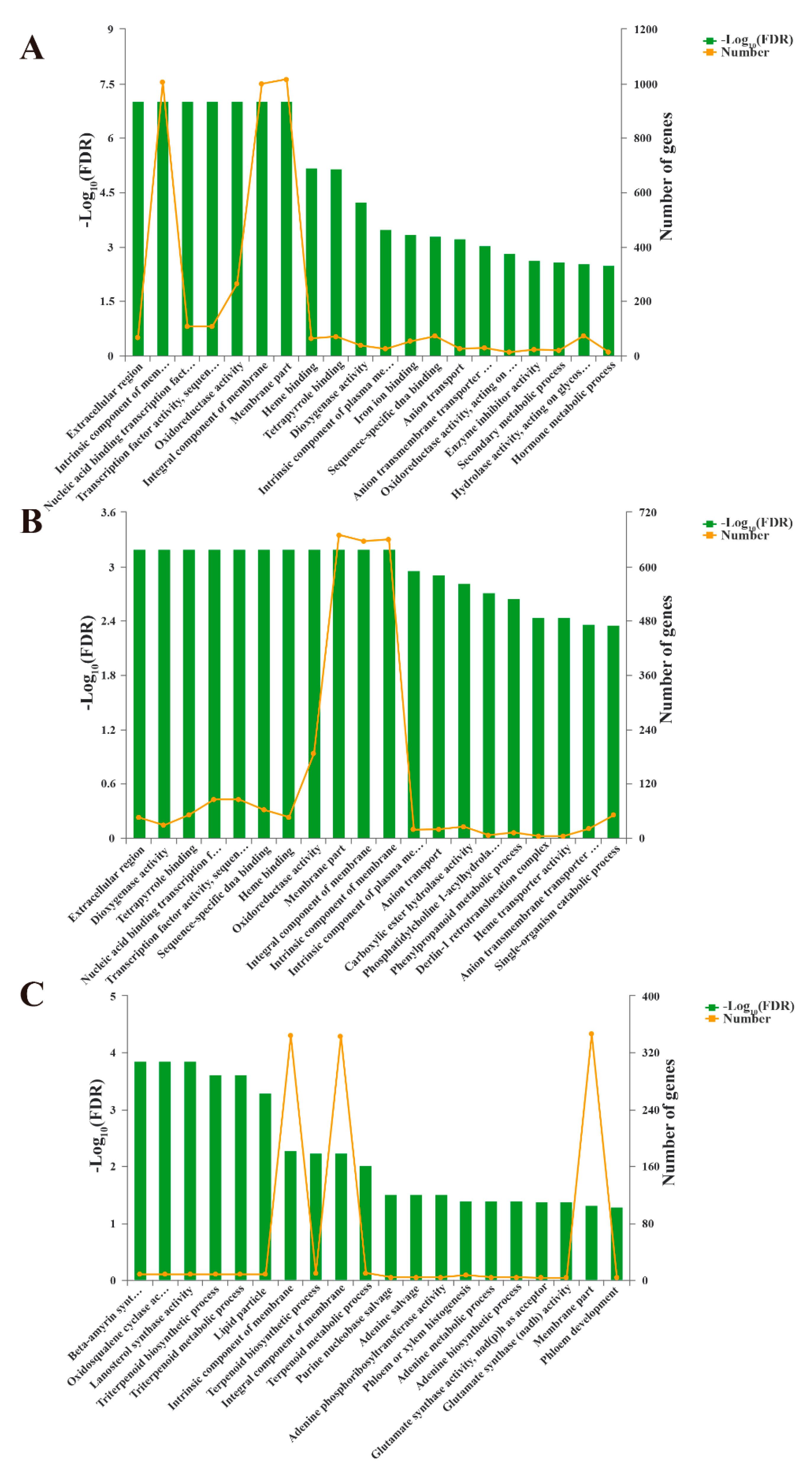 Forests 11 00812 g004
