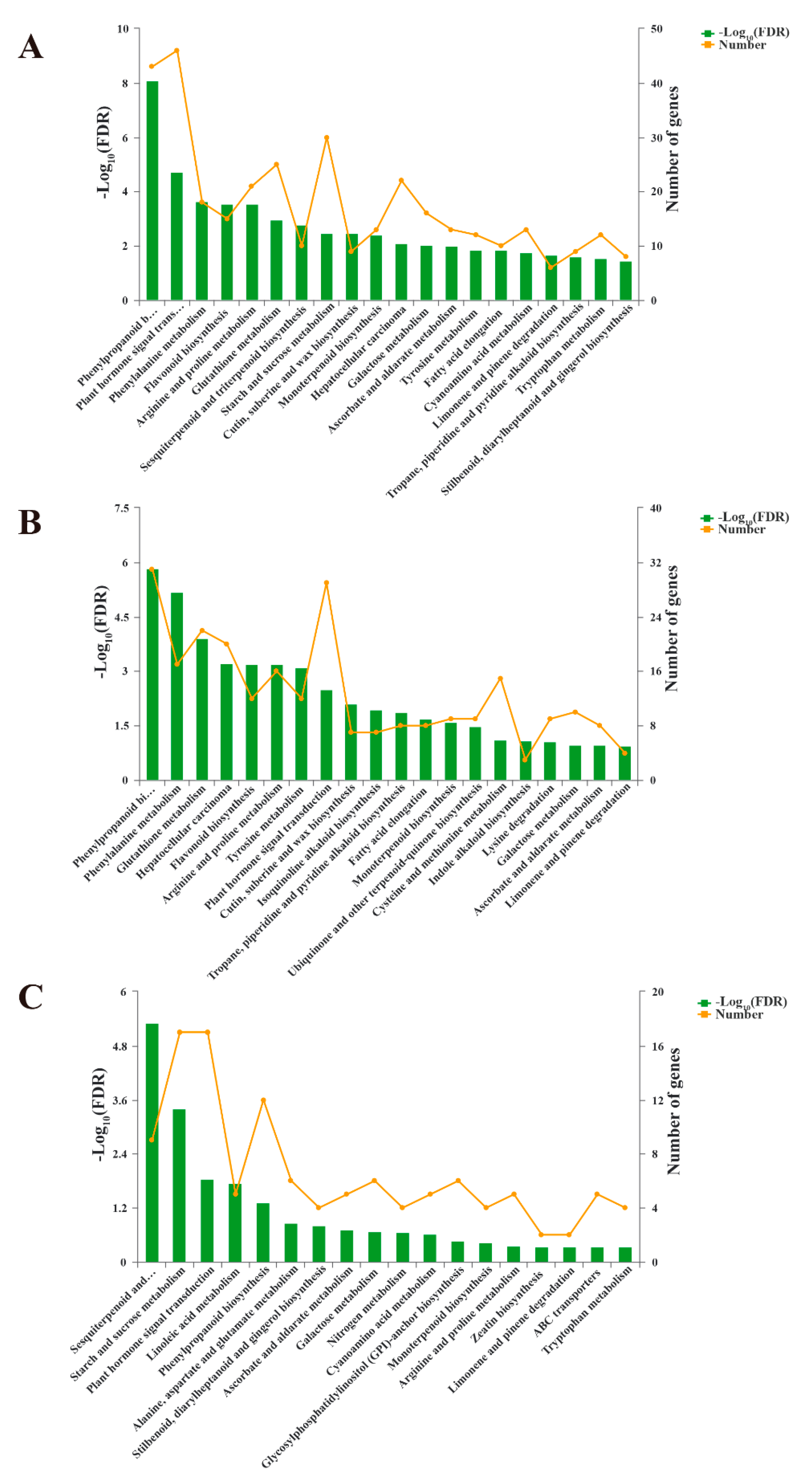 Forests 11 00812 g005