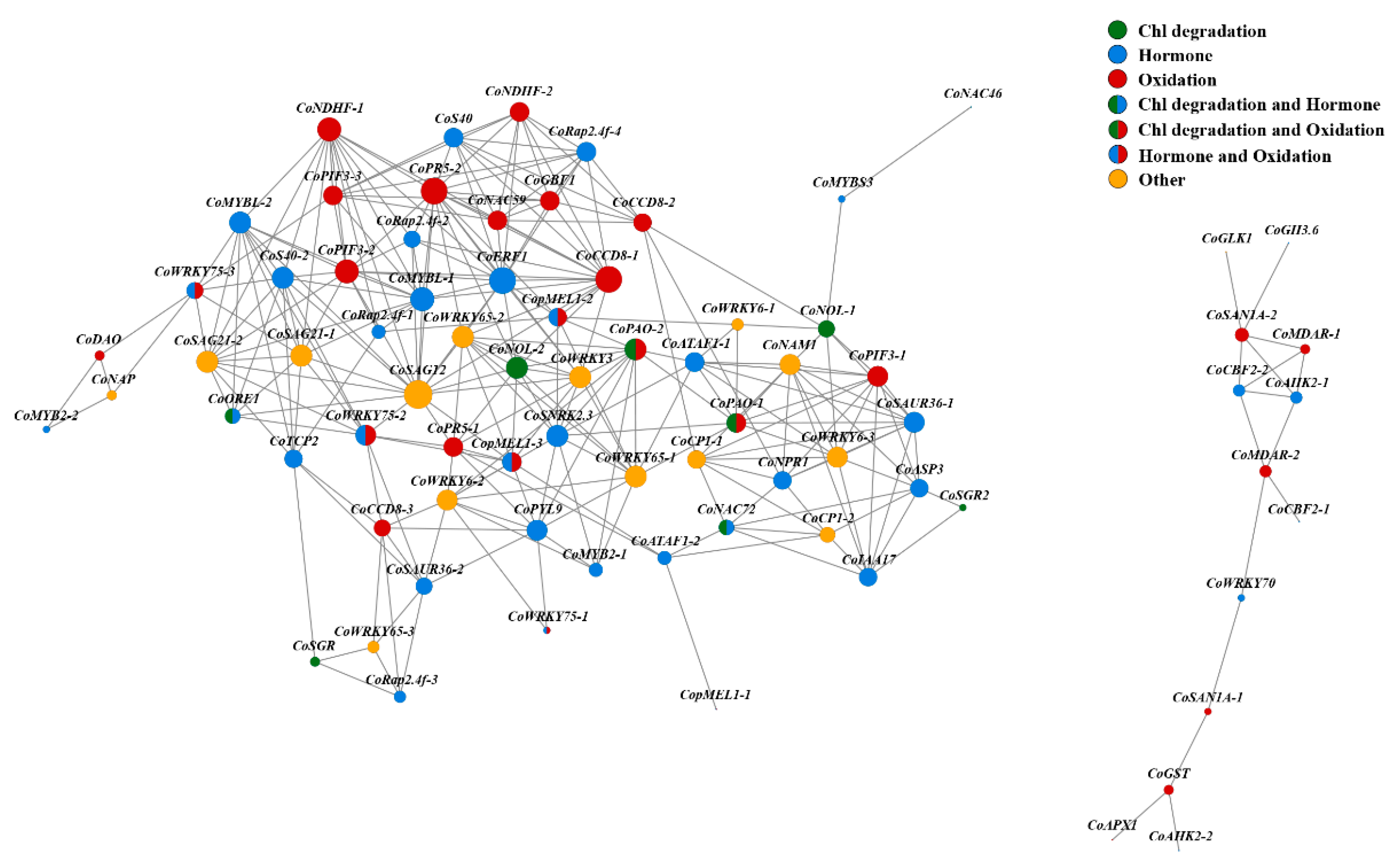 Forests 11 00812 g007