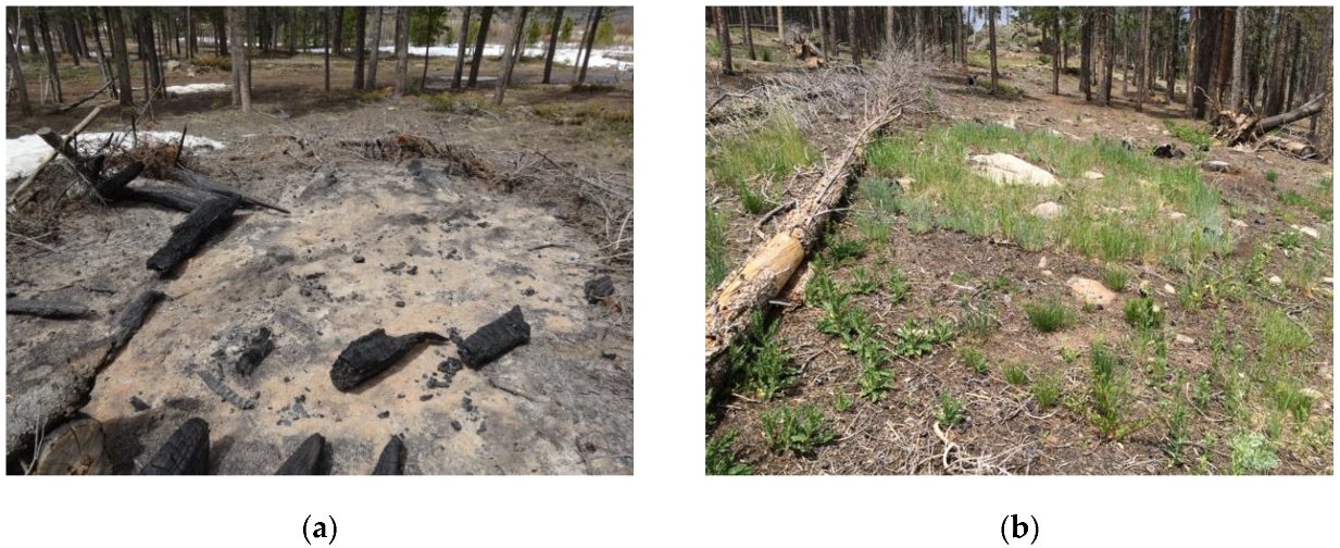 Forests 11 00813 g0a1