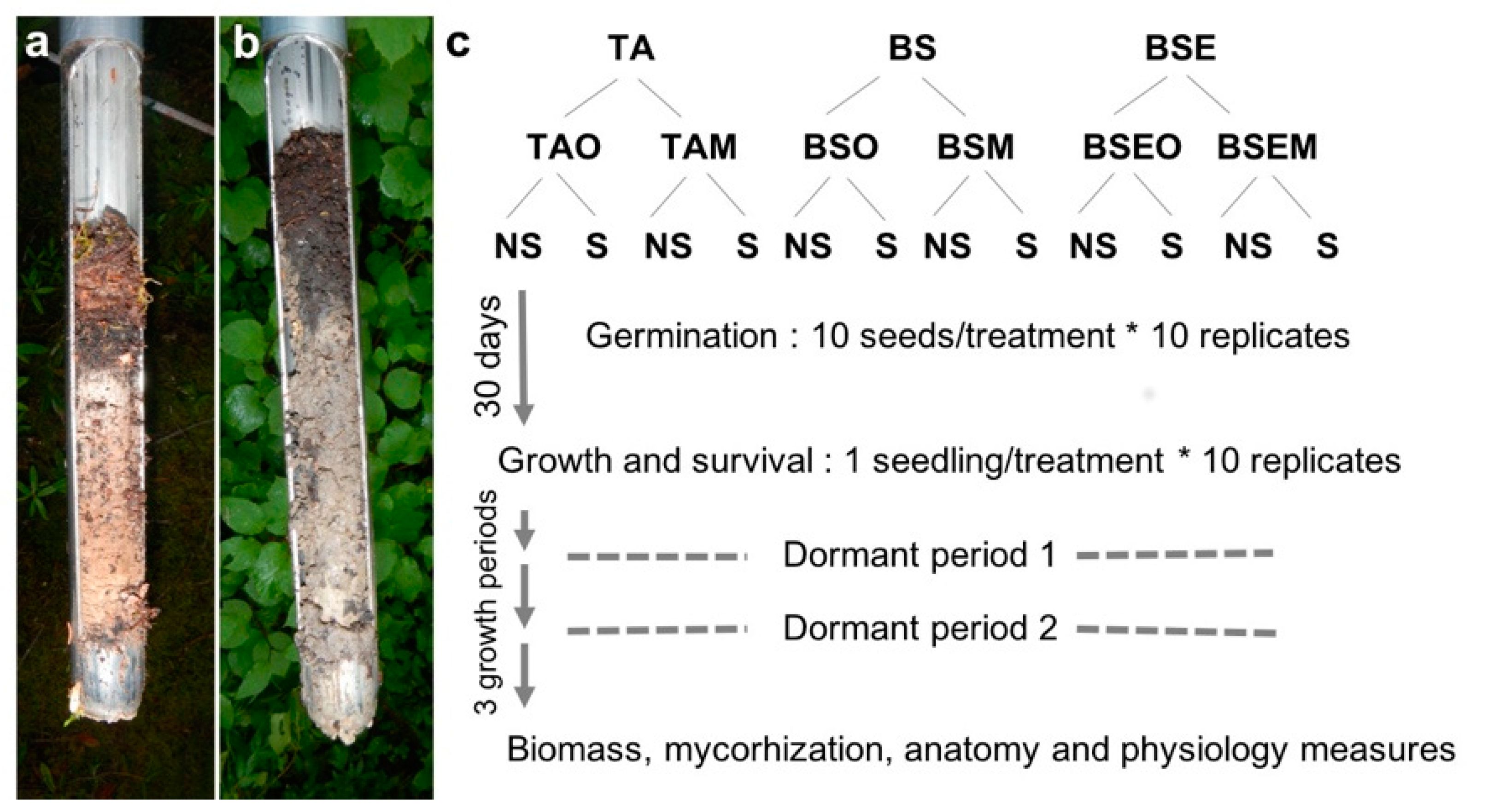 Forests 11 00815 g001 Forests 11 00815 g001