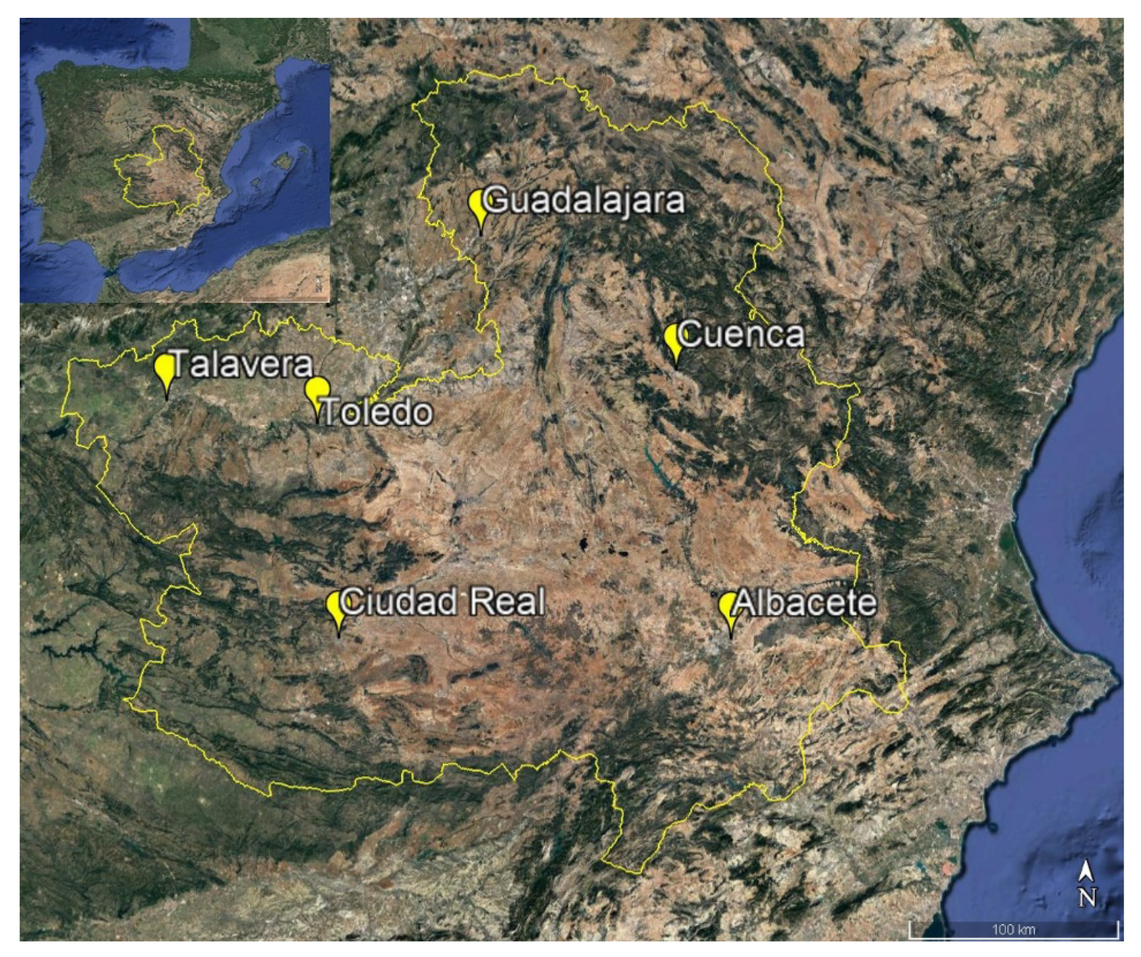 Forests 11 00817 g001