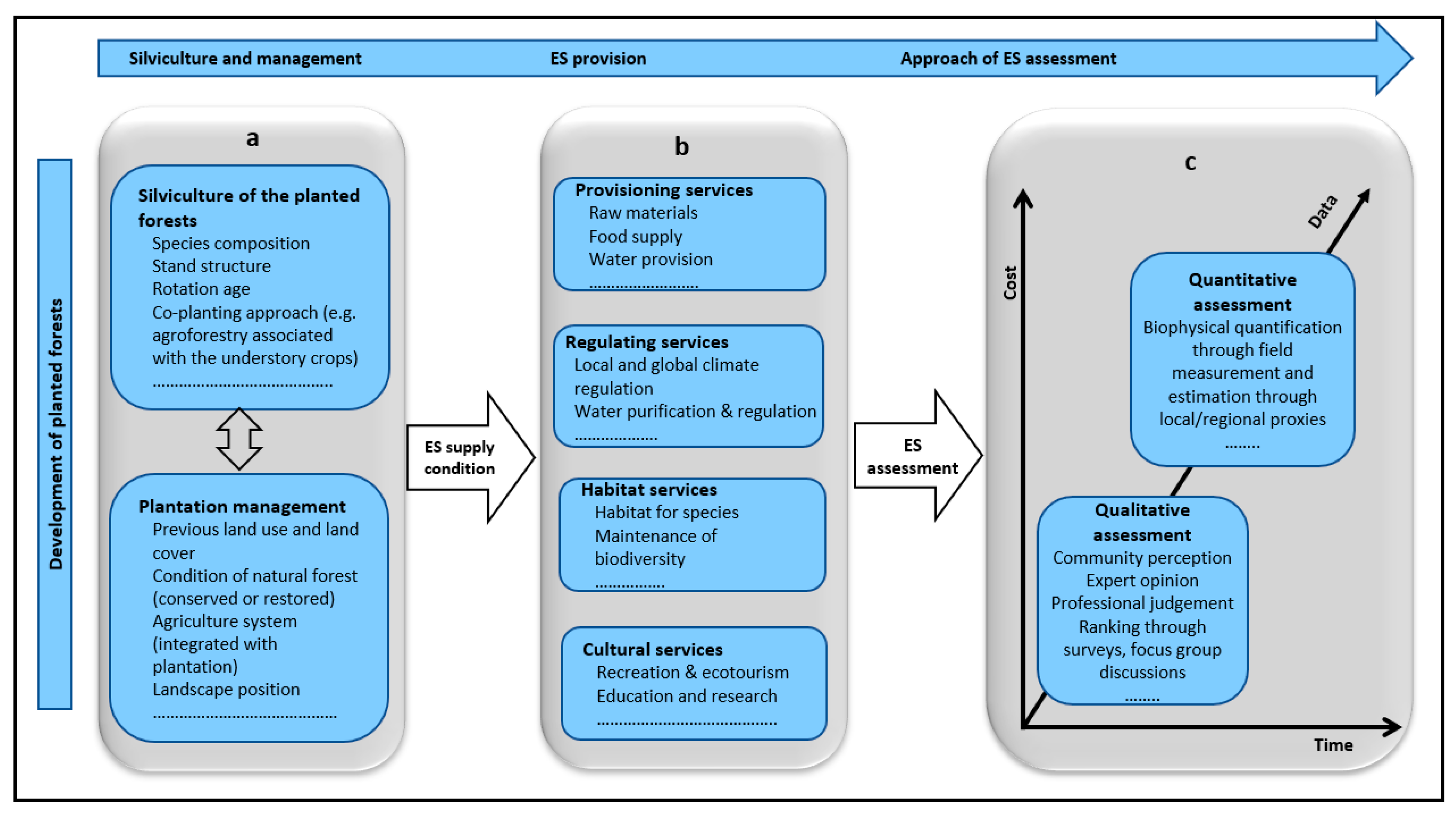 Forests 11 00822 g002