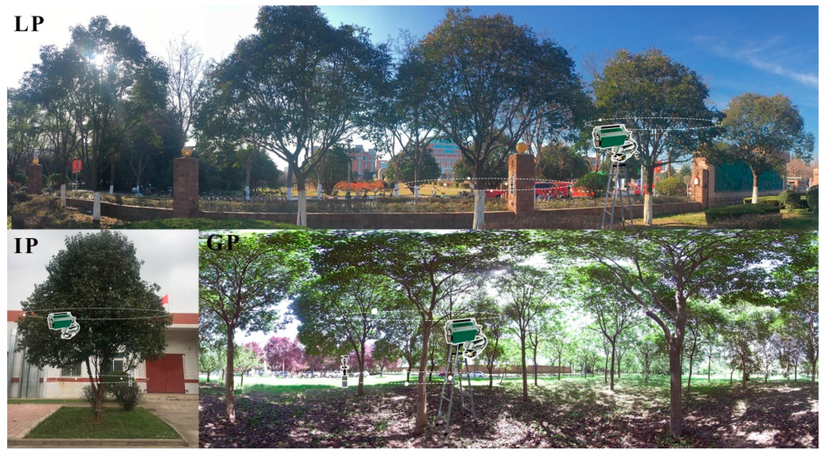 Forests 11 00825 g002 Forests 11 00825 g002