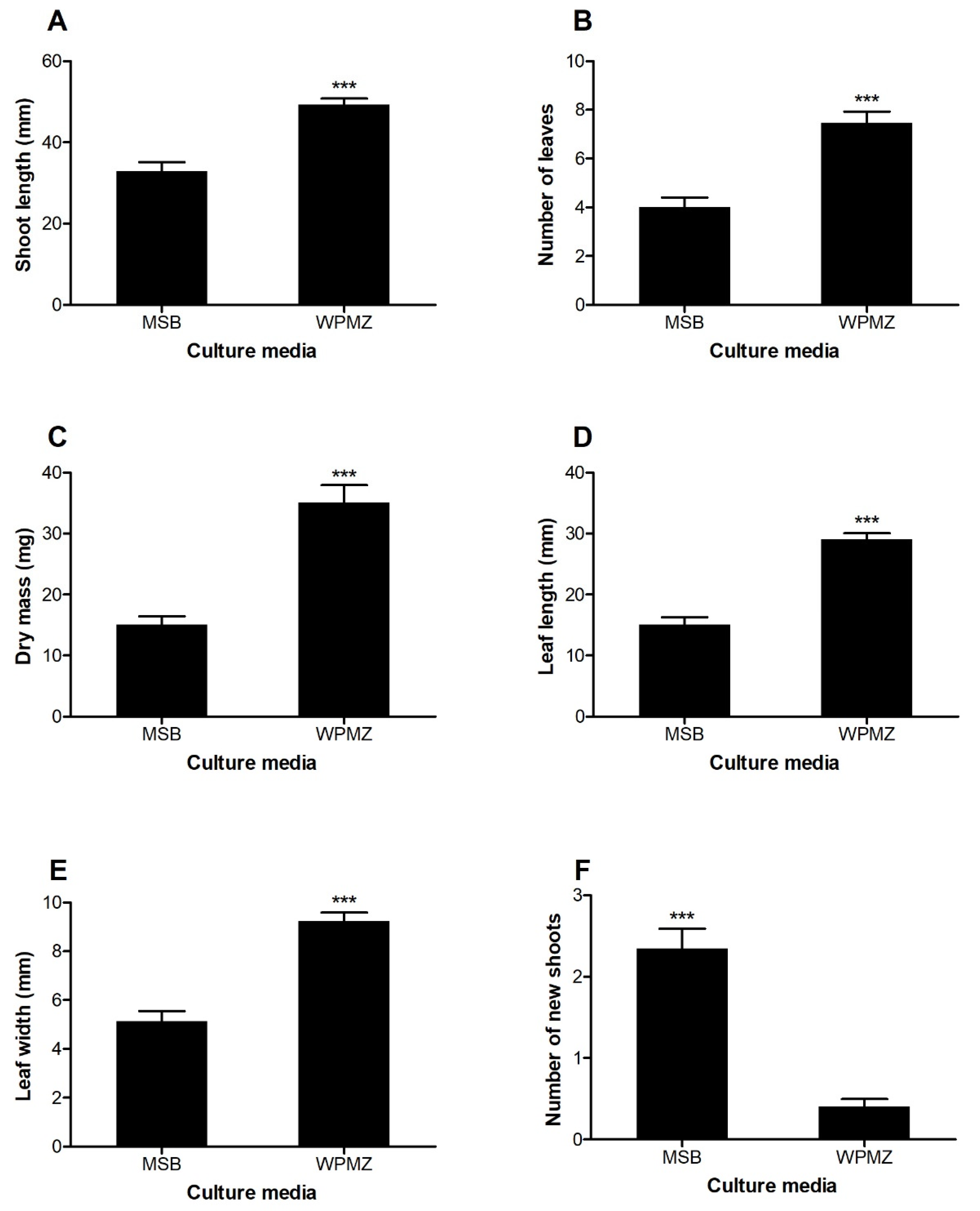Forests 11 00826 g001