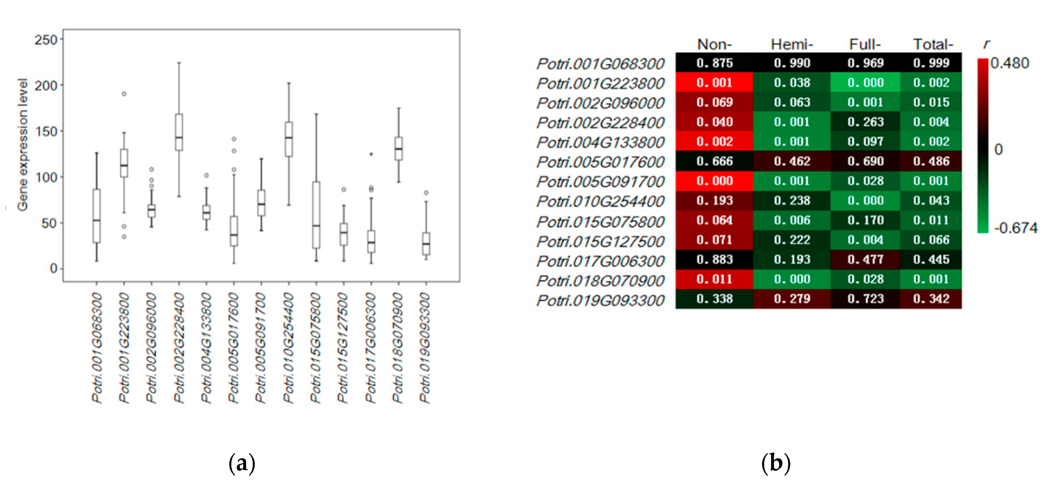 Forests 11 00828 g003