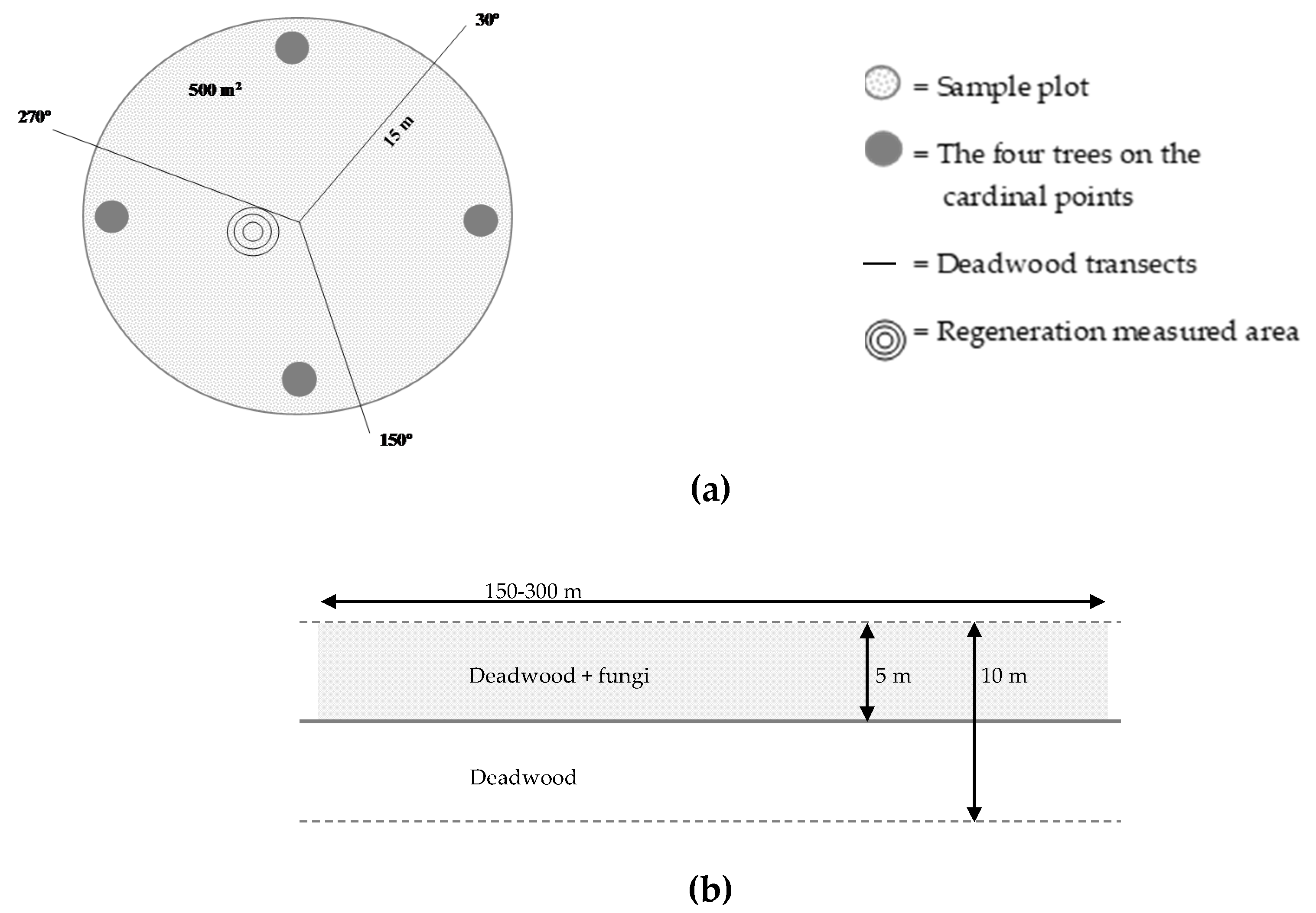 Forests 11 00831 g002 Forests 11 00831 g002