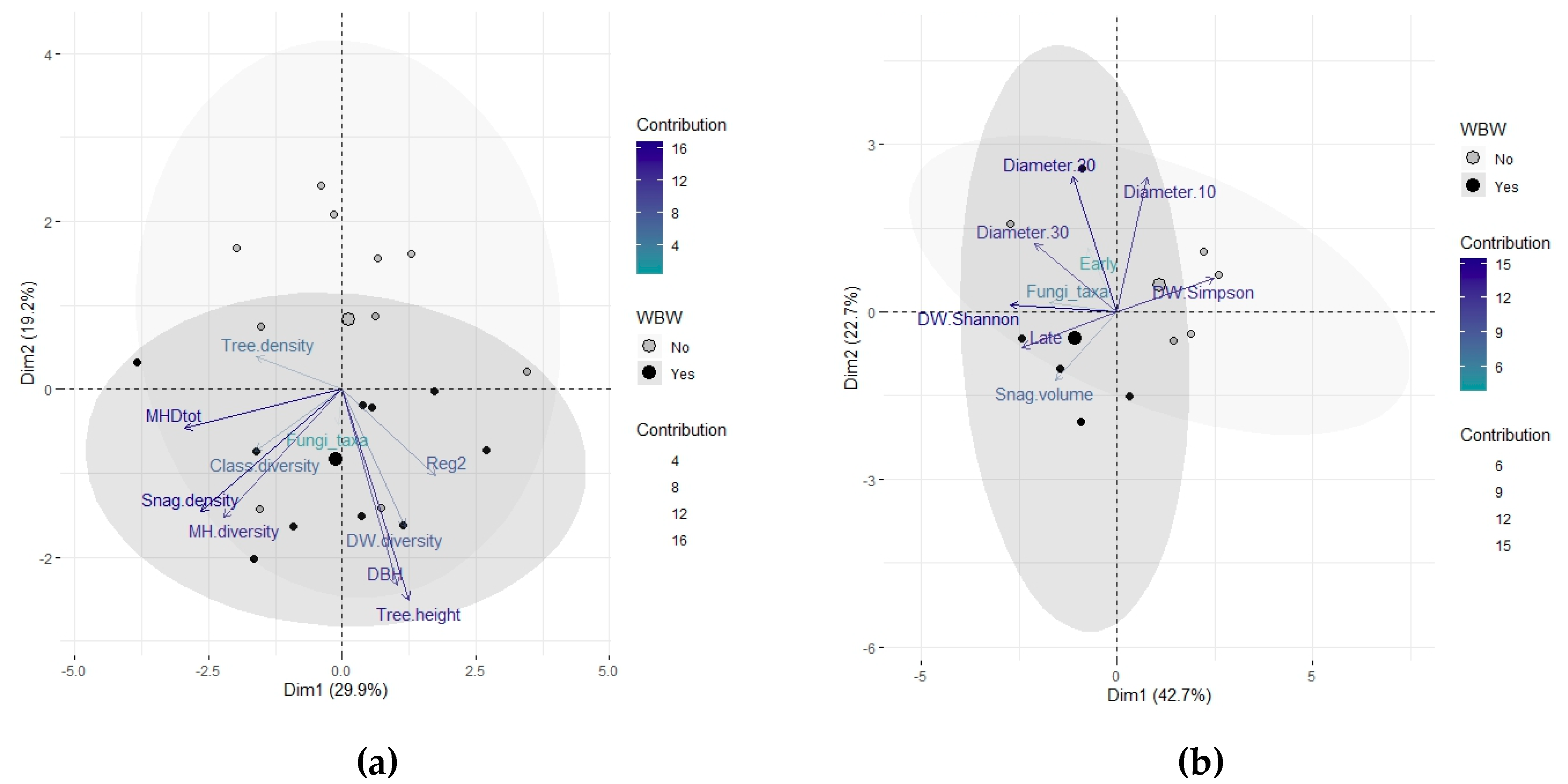 Forests 11 00831 g004 Forests 11 00831 g004